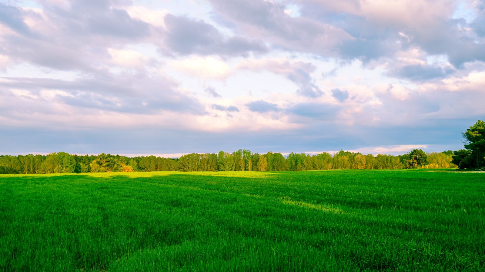 Sony a6500 + Sony Vario-Tessar T* E 16-70mm F4 ZA OSS sample photo. Panoramic, lawn, field photography
