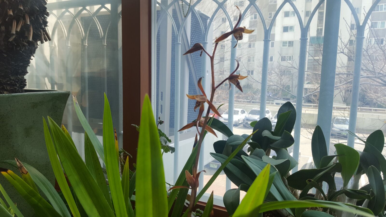 Samsung GALAXY S6 edge sample photo. Us, veranda, spring flowers photography