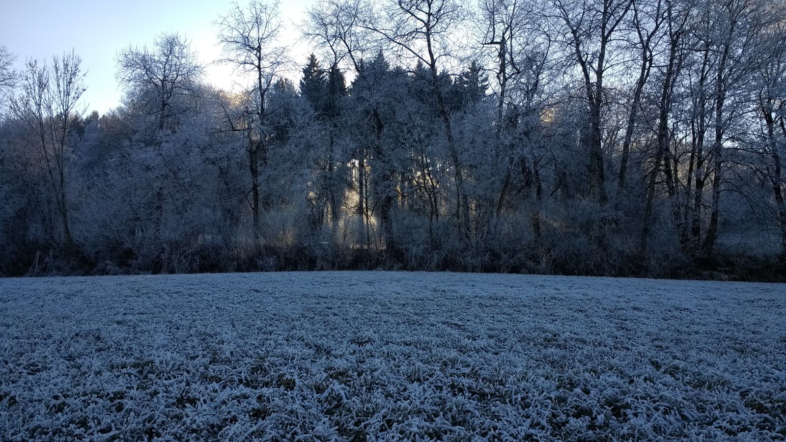 Motorola Moto G (4) sample photo. Winter, landscape, sun photography