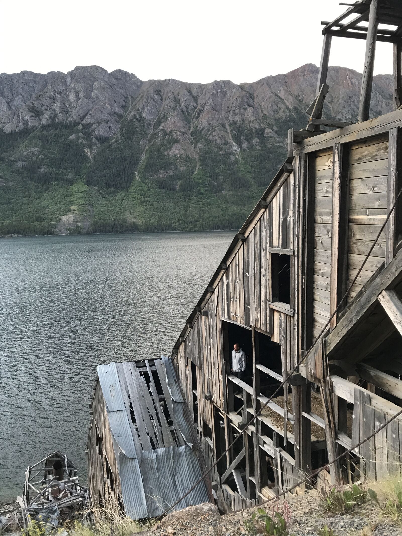 Apple iPhone 7 sample photo. Wood, lake, yukon photography