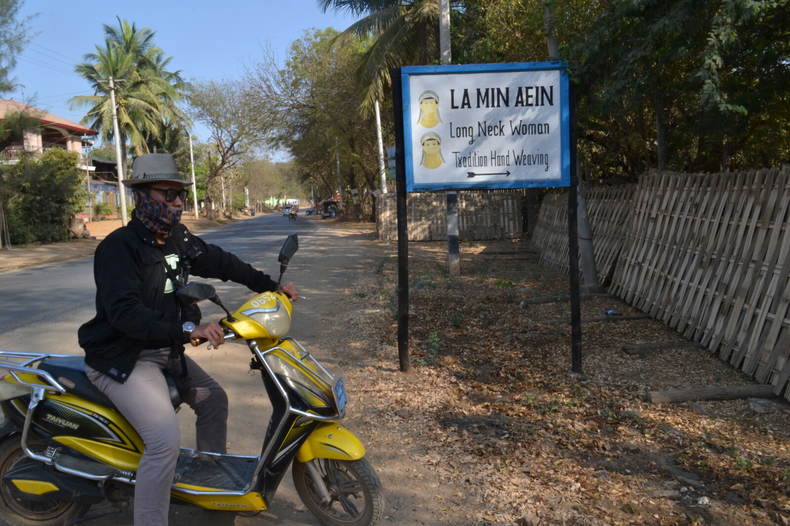 Nikon D3100 sample photo