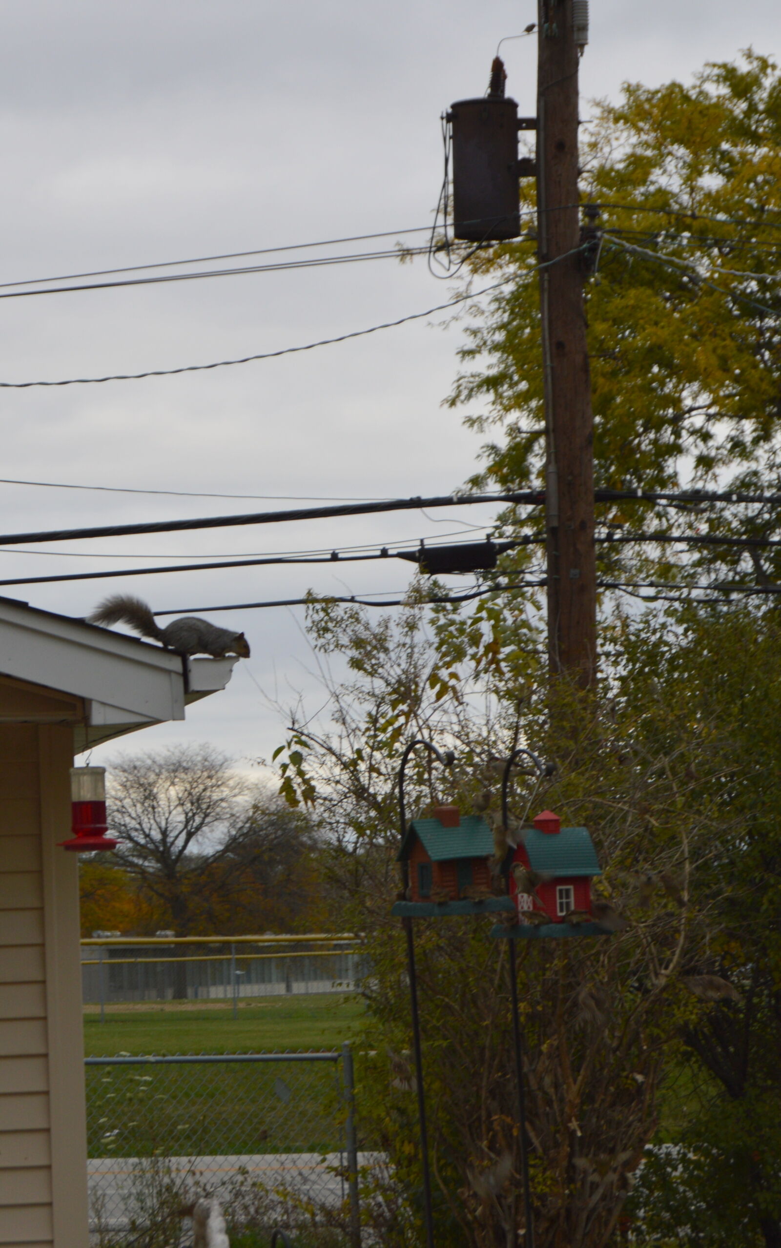 Nikon D3200 sample photo
