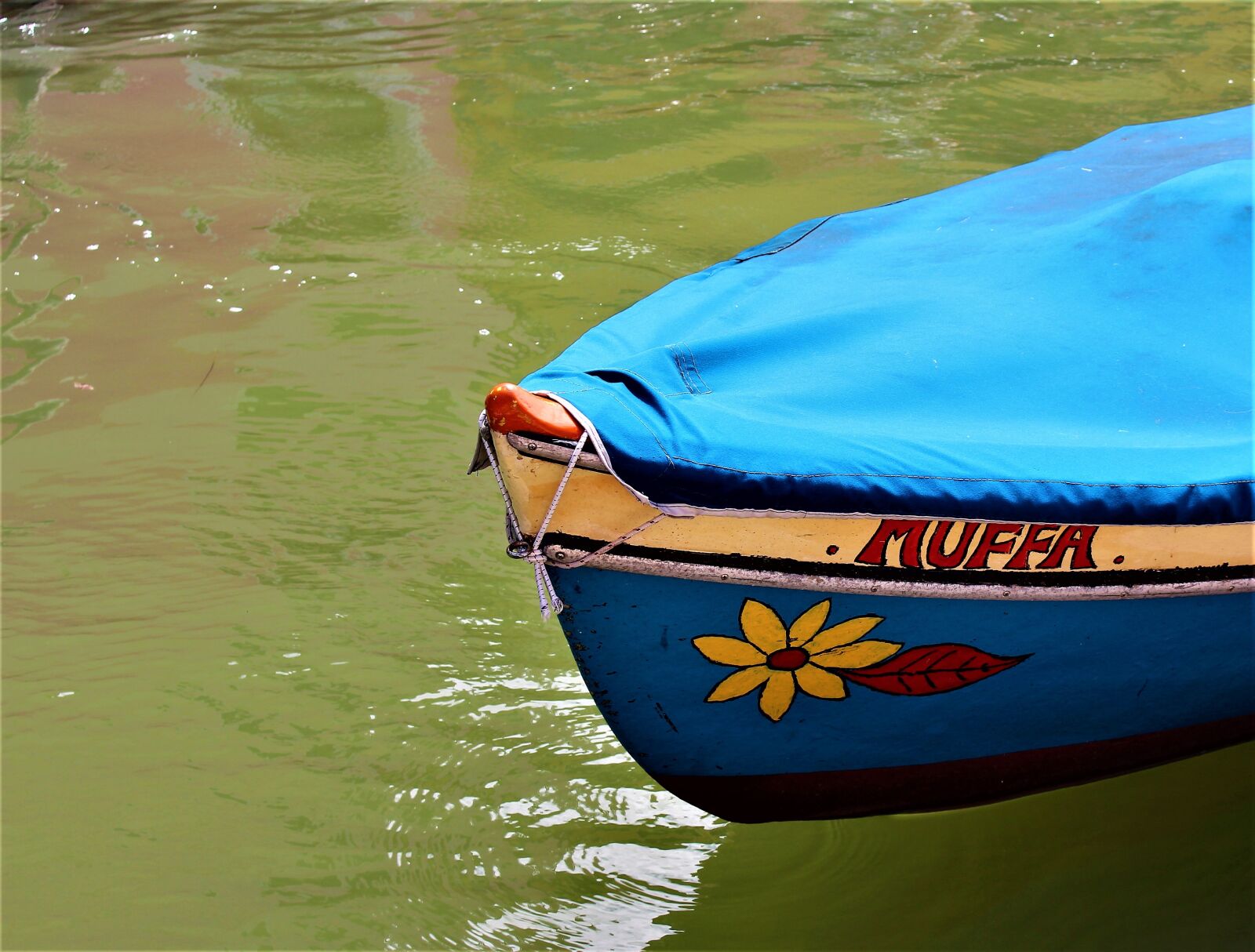 Canon EOS 700D (EOS Rebel T5i / EOS Kiss X7i) sample photo. Venice, italy, burano photography