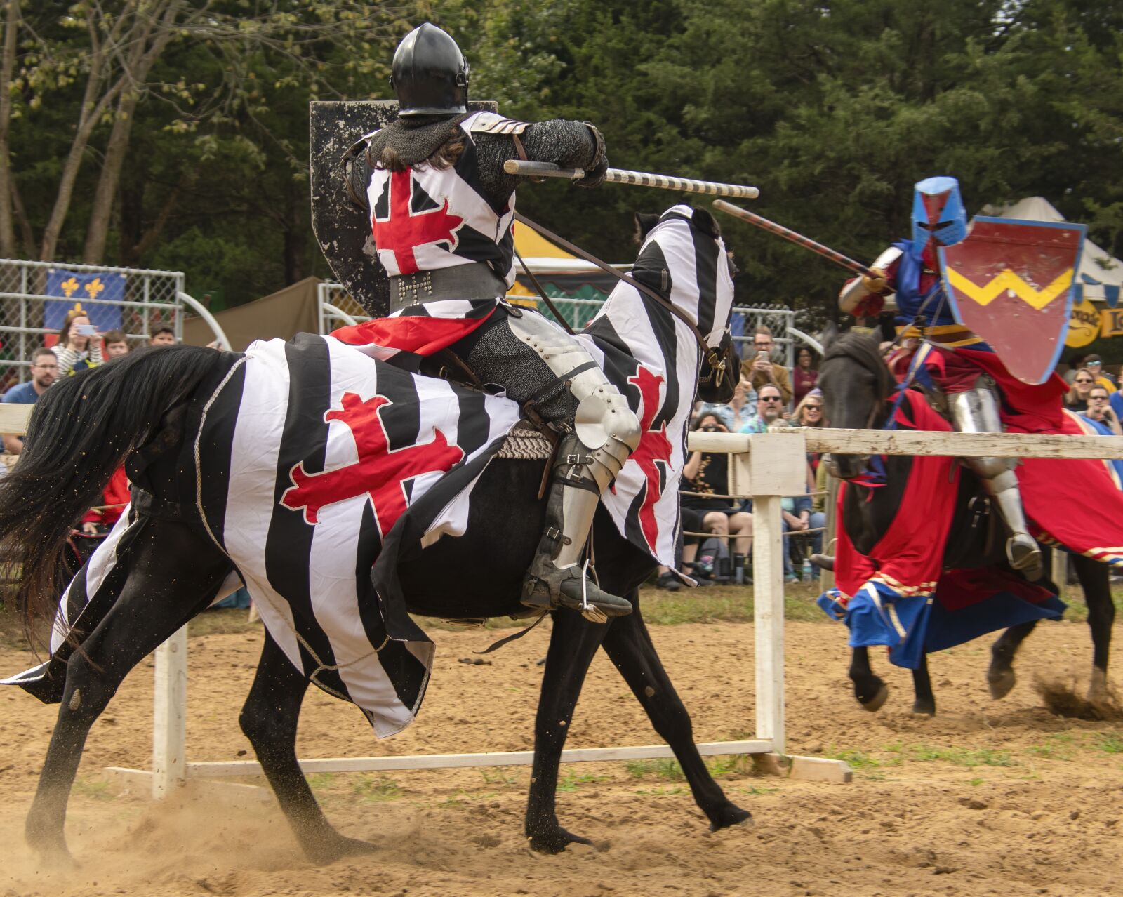 Nikon D850 sample photo. Joust, jousting, combat photography