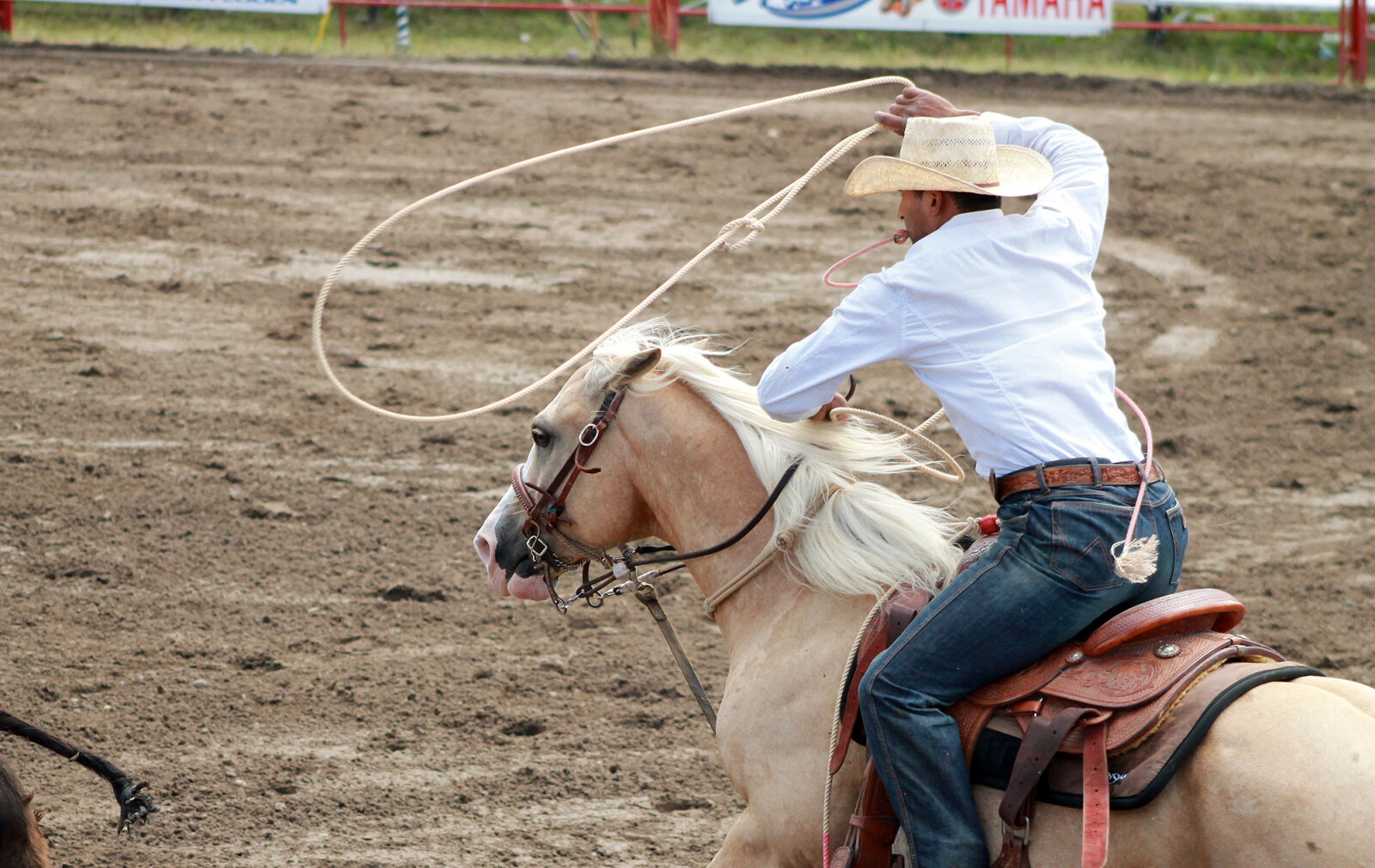 Canon EOS 1100D (EOS Rebel T3 / EOS Kiss X50) sample photo. Cowboy, horse photography