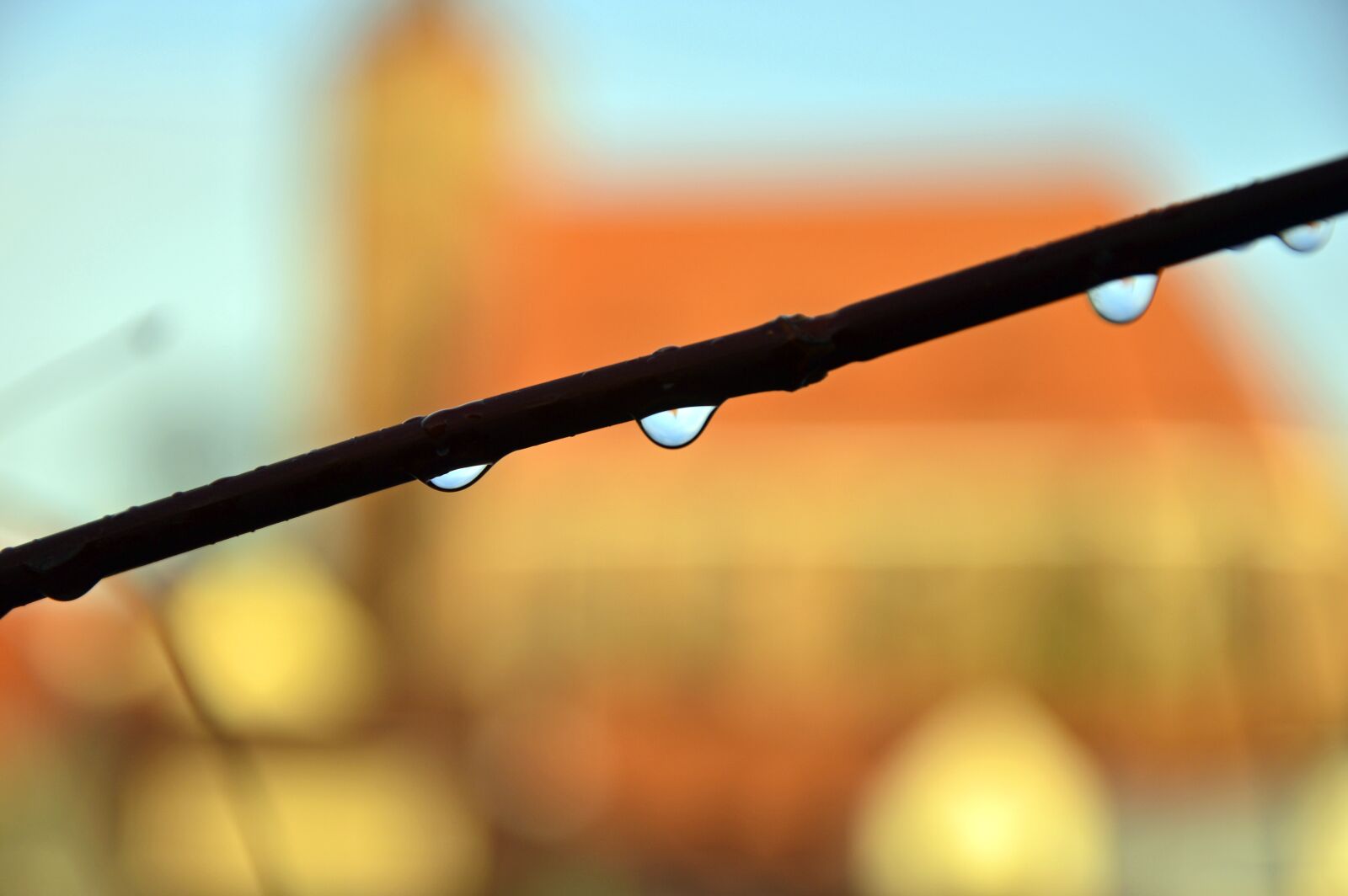 Nikon D3200 sample photo. Drop of water, drip photography