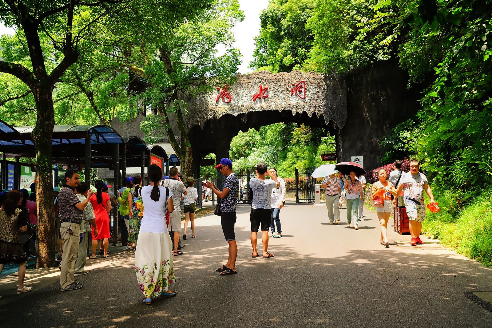 Nikon D700 sample photo. The scenery, dripping cave photography