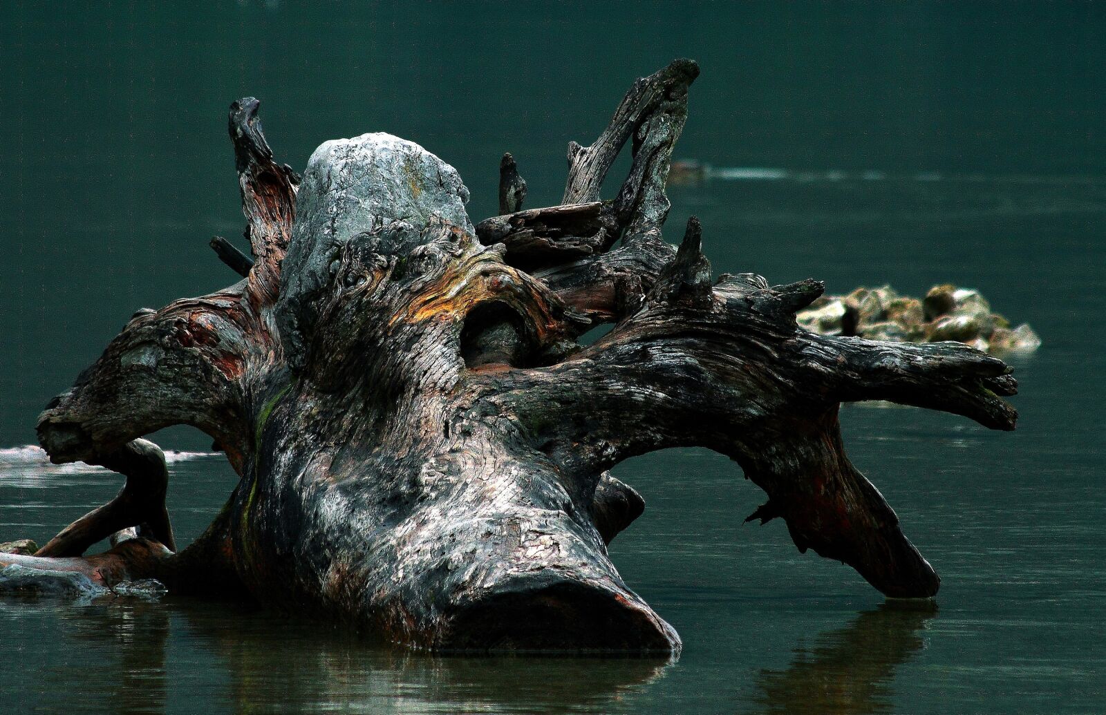 Canon EOS 7D sample photo. Königssee, bavaria, water photography