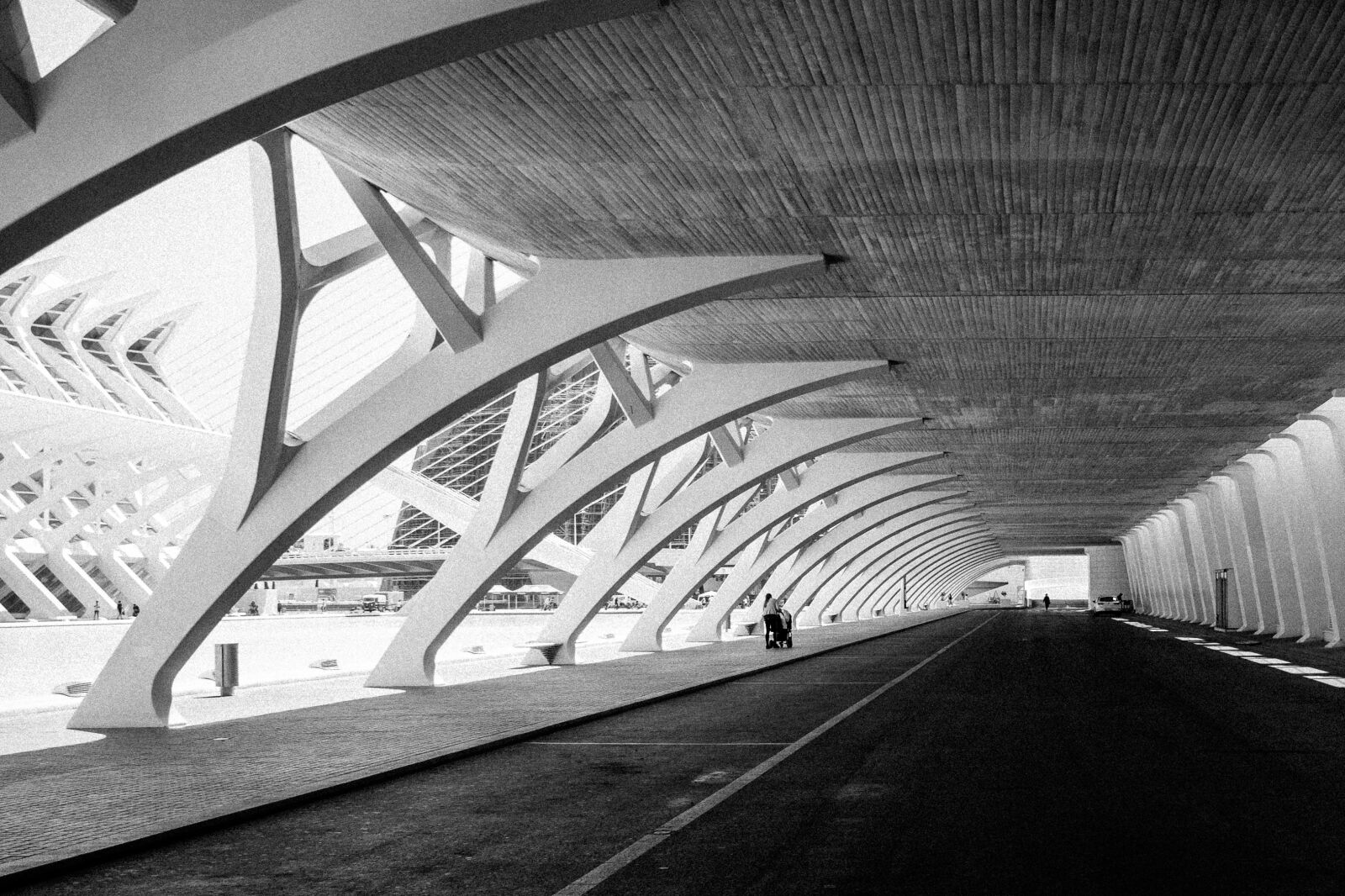 Nikon D5300 sample photo. Calatrava, valencia, arts and photography