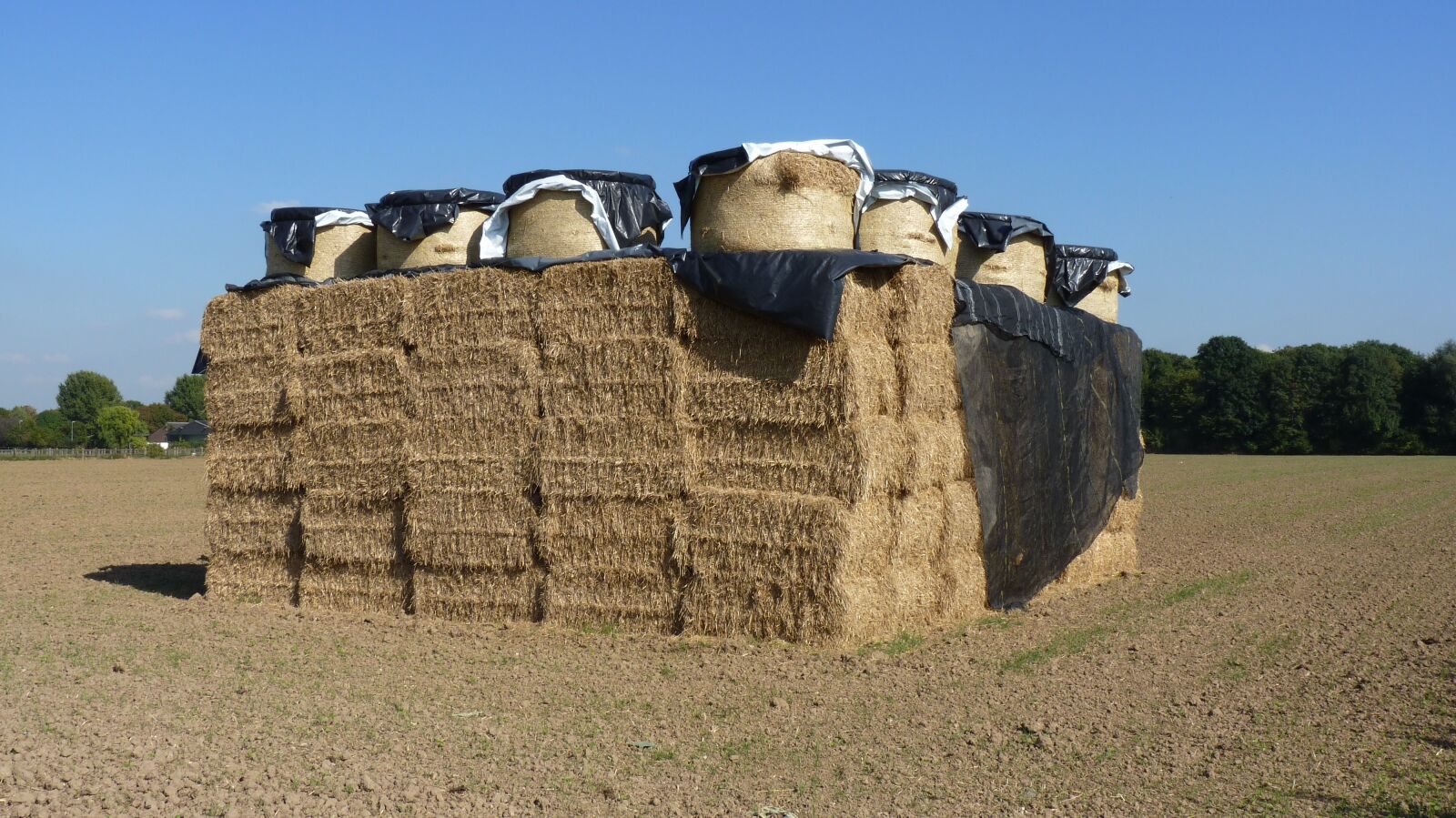 Panasonic Lumix DMC-FZ35 (Lumix DMC-FZ38) sample photo. Agriculture, straw, straw bales photography