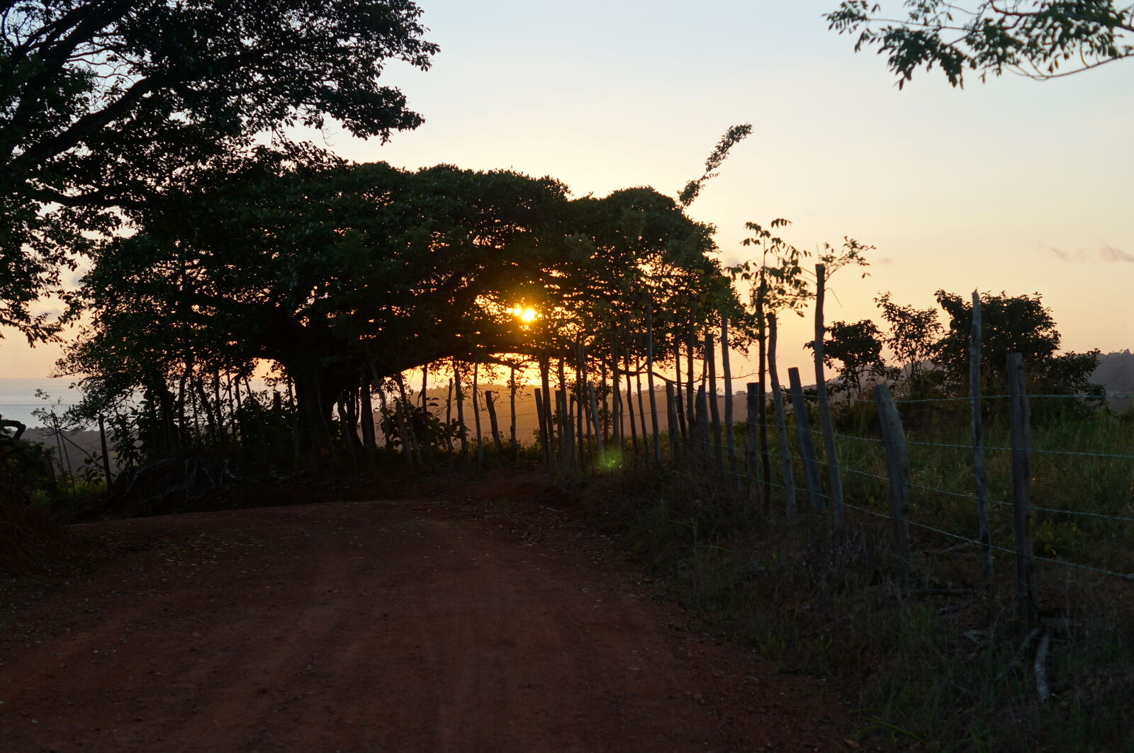 Sony DT 35mm F1.8 SAM sample photo. Costa, rica, sunset, tree photography