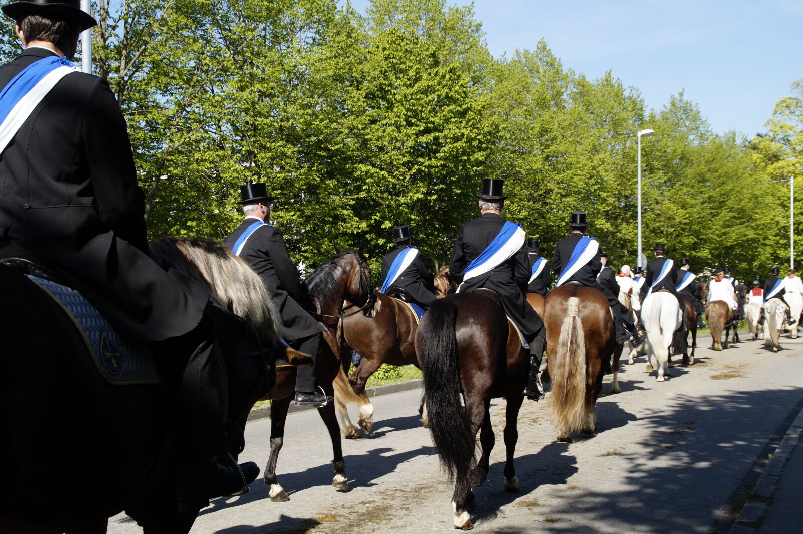 Sony SLT-A58 sample photo. Procession, equestrian procession, vineyard photography