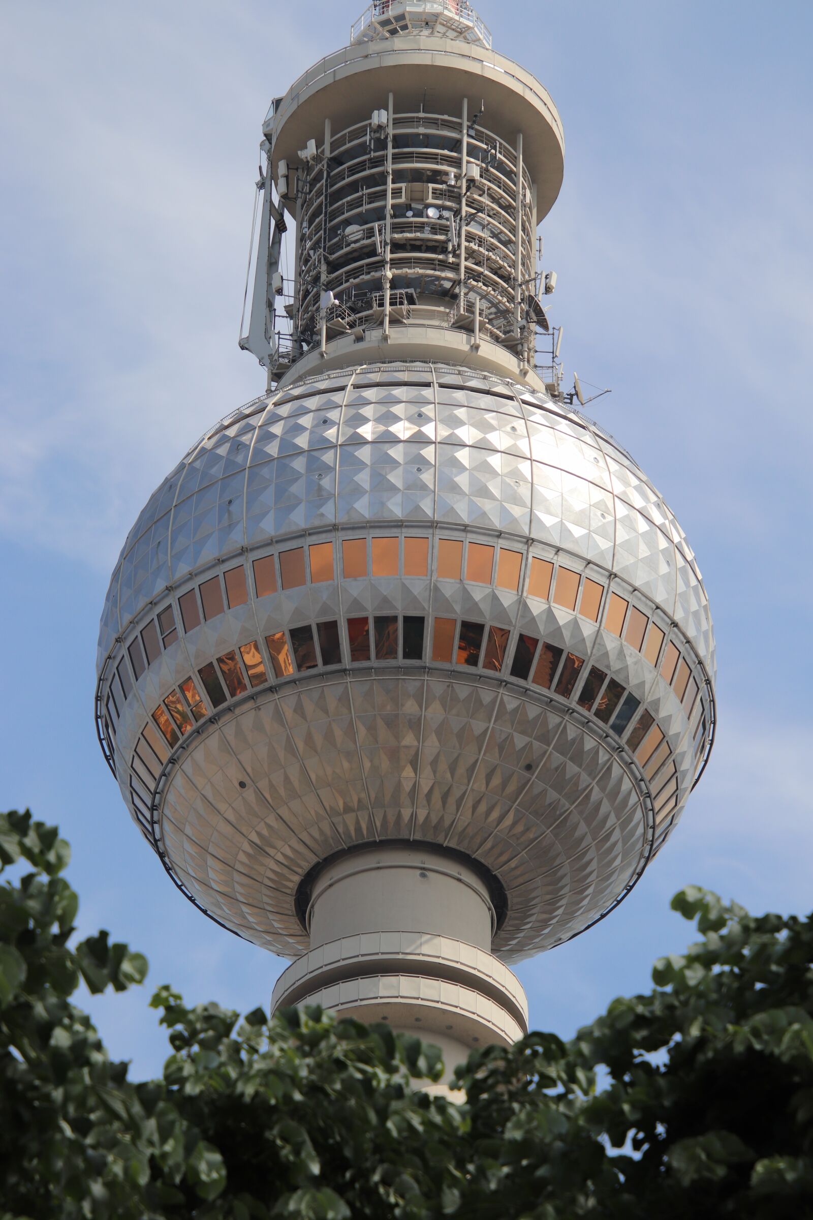 Canon EOS 800D (EOS Rebel T7i / EOS Kiss X9i) sample photo. Tv tower, leaves, tree photography