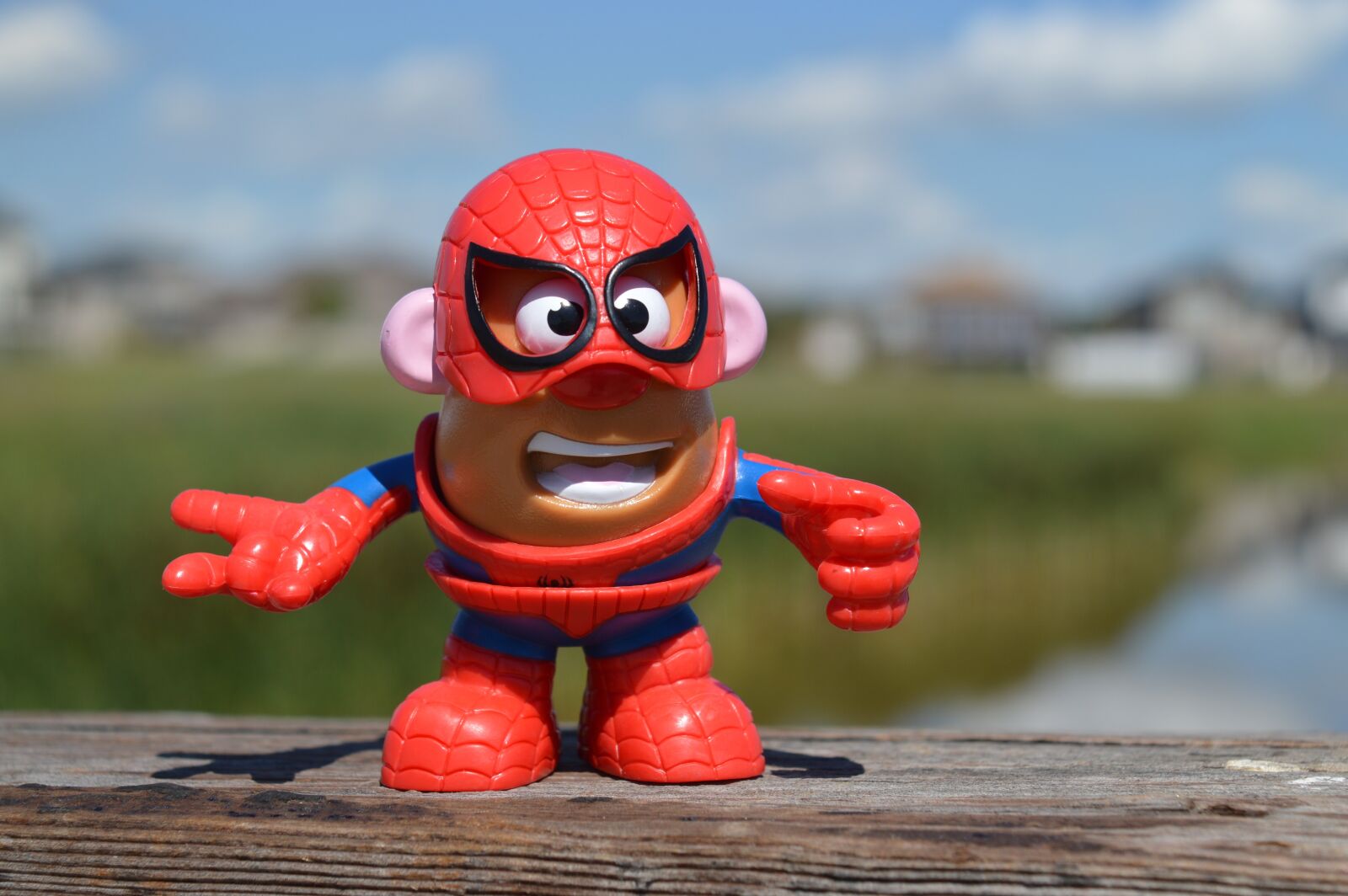 Nikon D3200 sample photo. Mr, potato head, spiderman photography