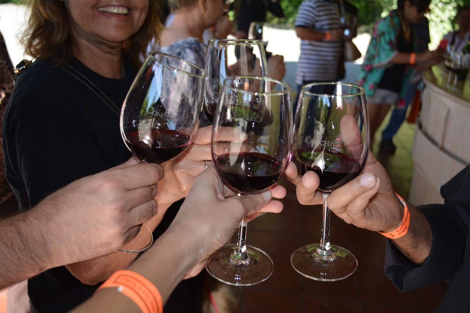 Nikon D5200 sample photo. Winery, santiago, chile photography