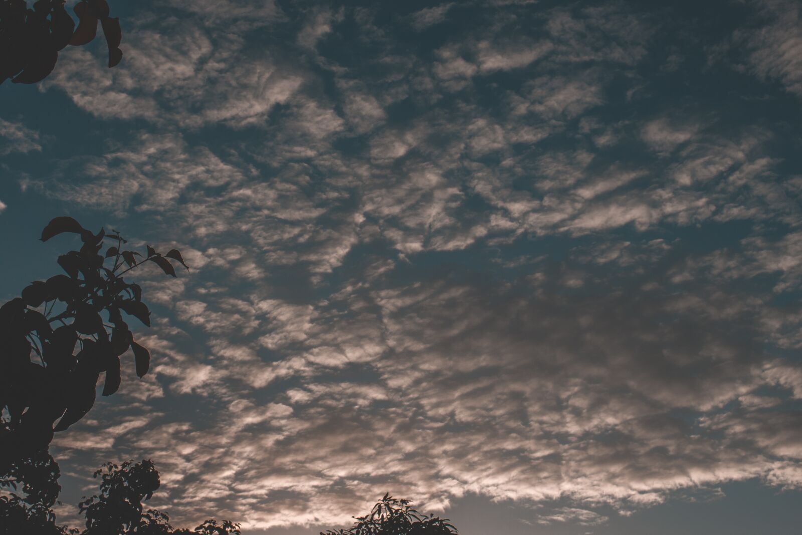 Canon EOS 700D (EOS Rebel T5i / EOS Kiss X7i) sample photo. Sky, thailand, outdoor photography