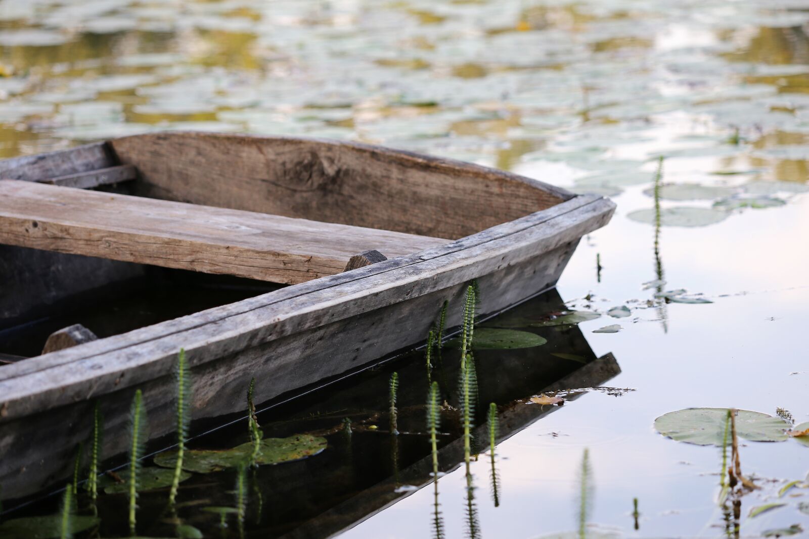 Canon EF 70-300 F4-5.6 IS II USM sample photo. Wooden boat, lake, boat photography