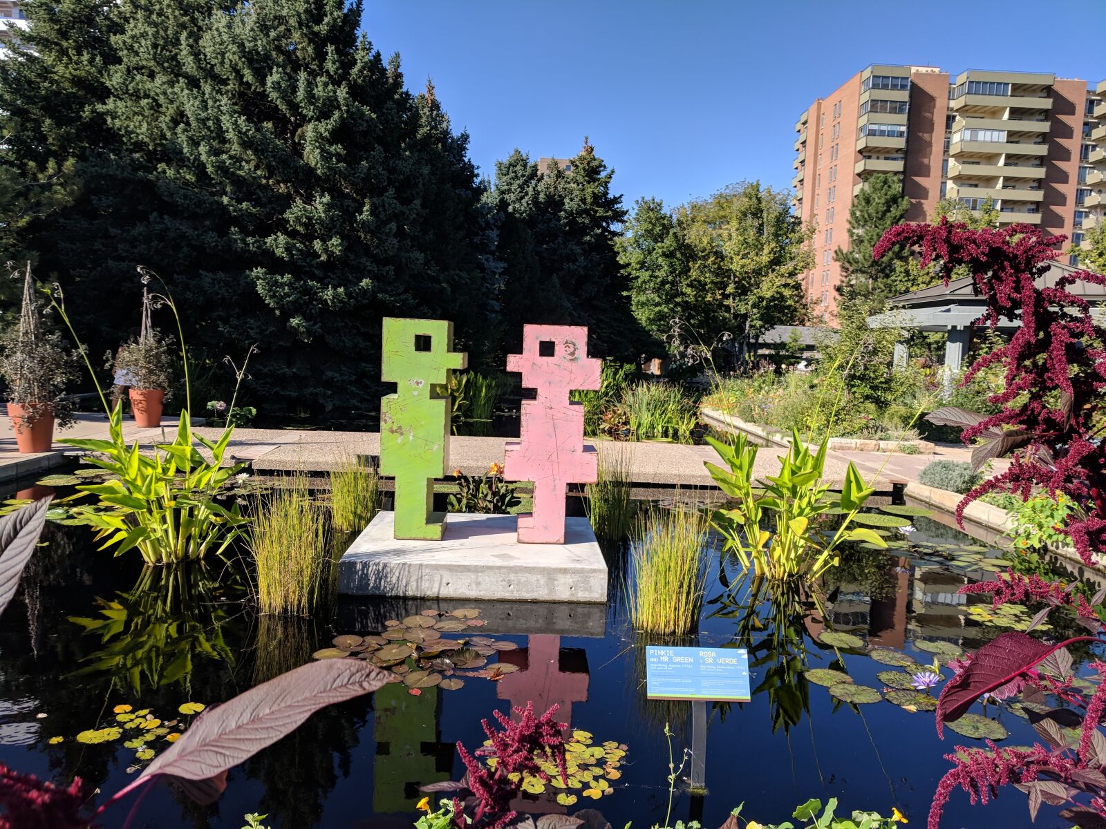Google Pixel sample photo. Pixel, pond, garden photography