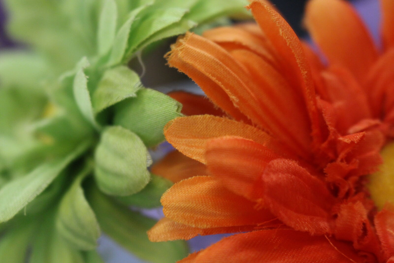 Canon EOS 700D (EOS Rebel T5i / EOS Kiss X7i) sample photo