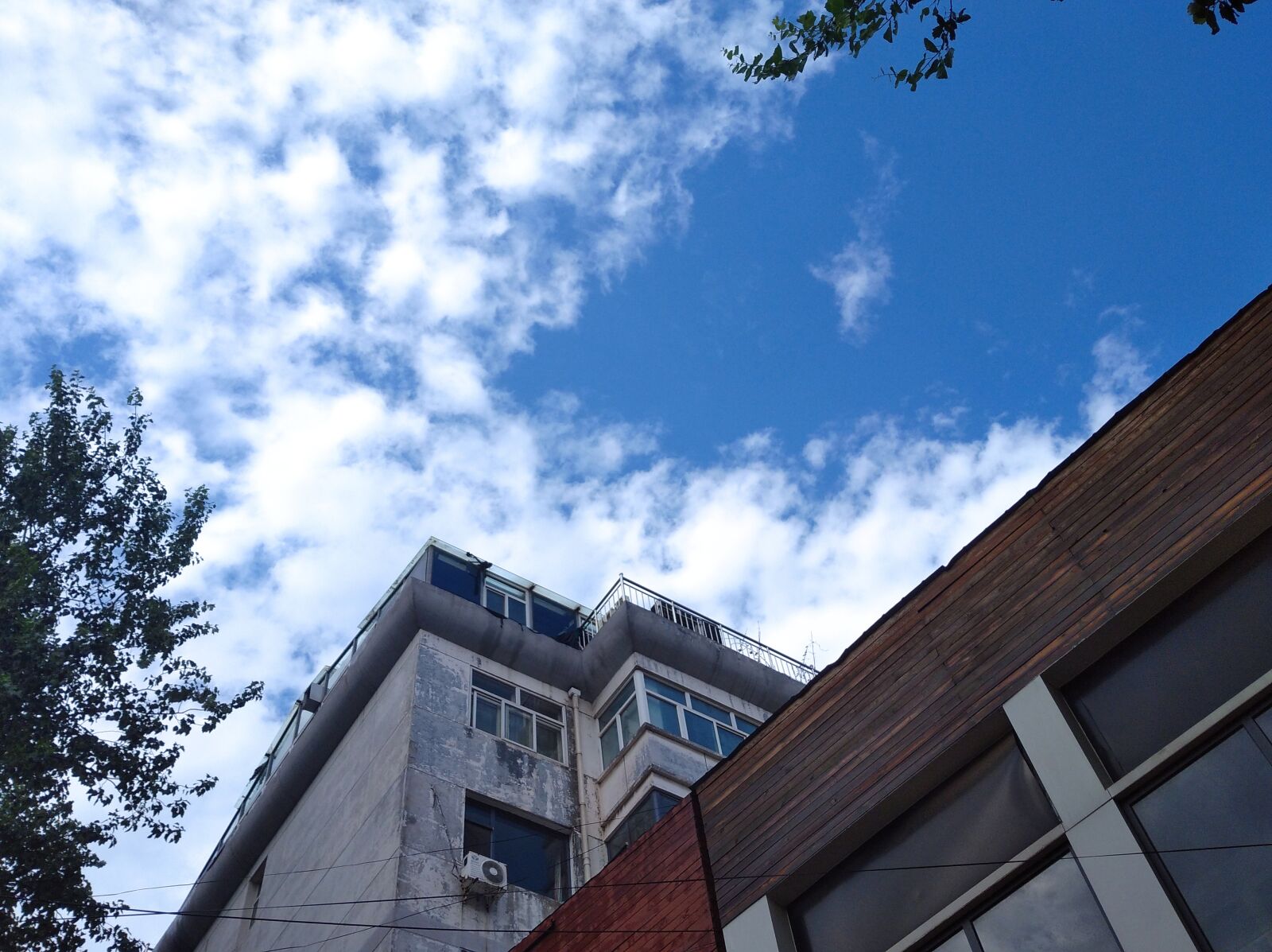 Xiaomi Redmi 8 sample photo. Sky, trees, house photography