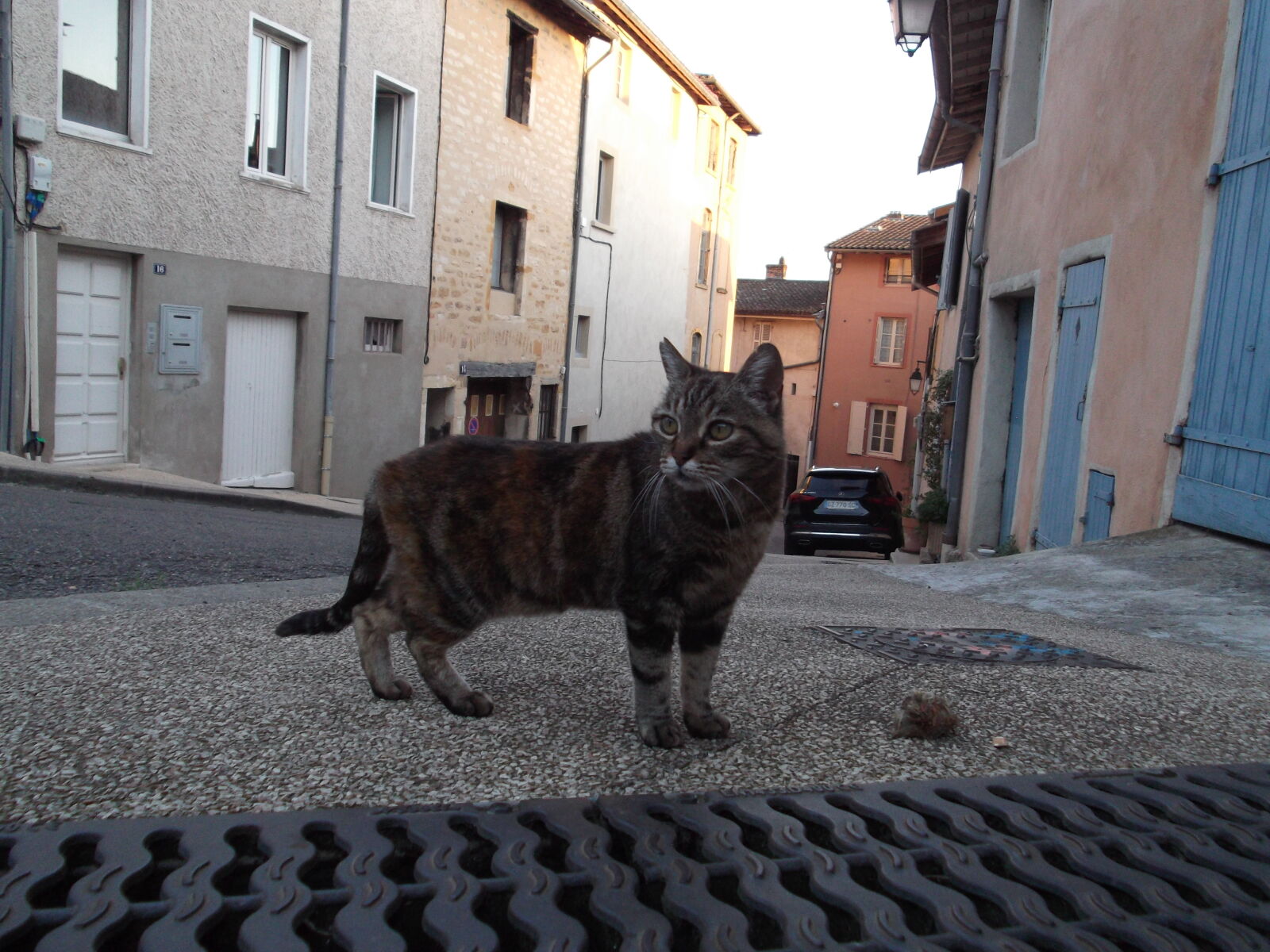 Fujifilm FinePix JX310 sample photo