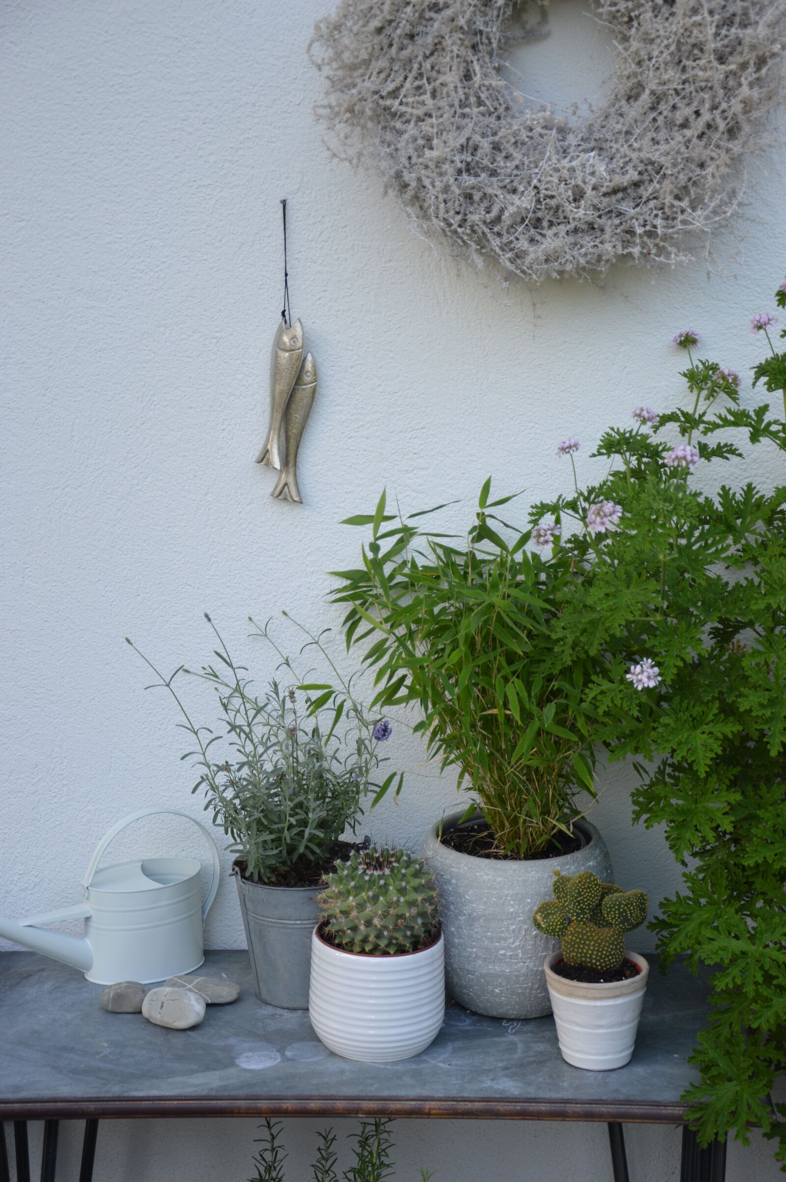 Nikon D3200 sample photo. Of course, different, residential photography