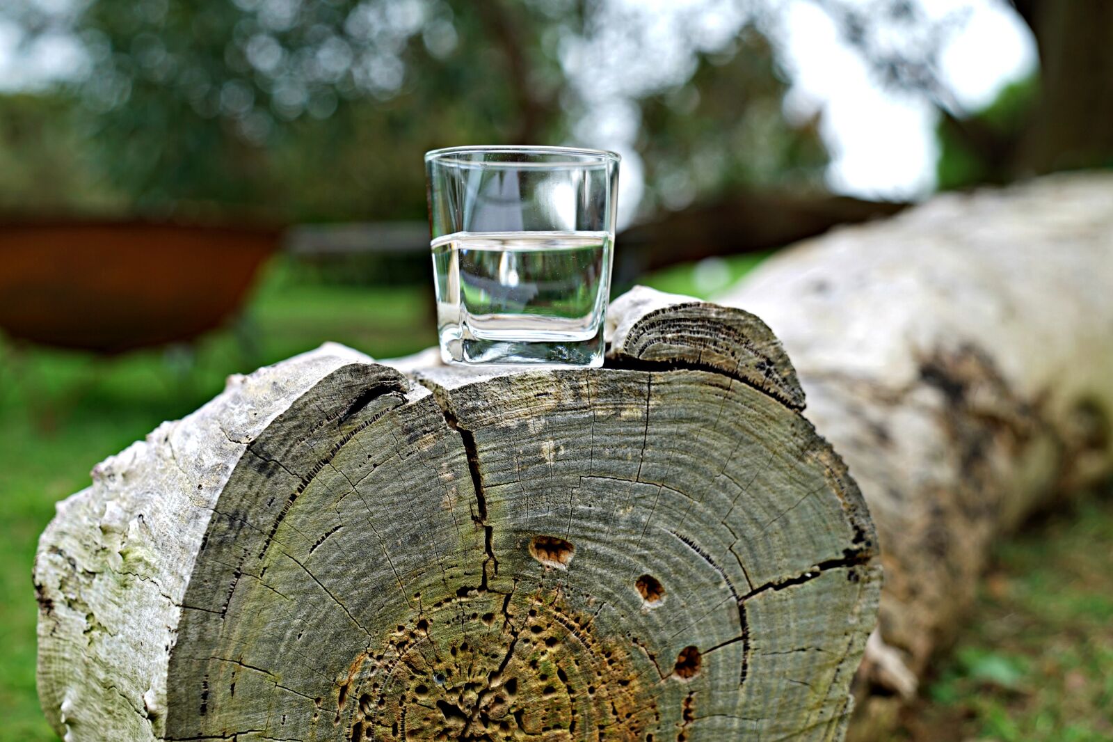 Sony a7S + Sony FE 24-70mm F2.8 GM sample photo. Glass of water, refreshment photography