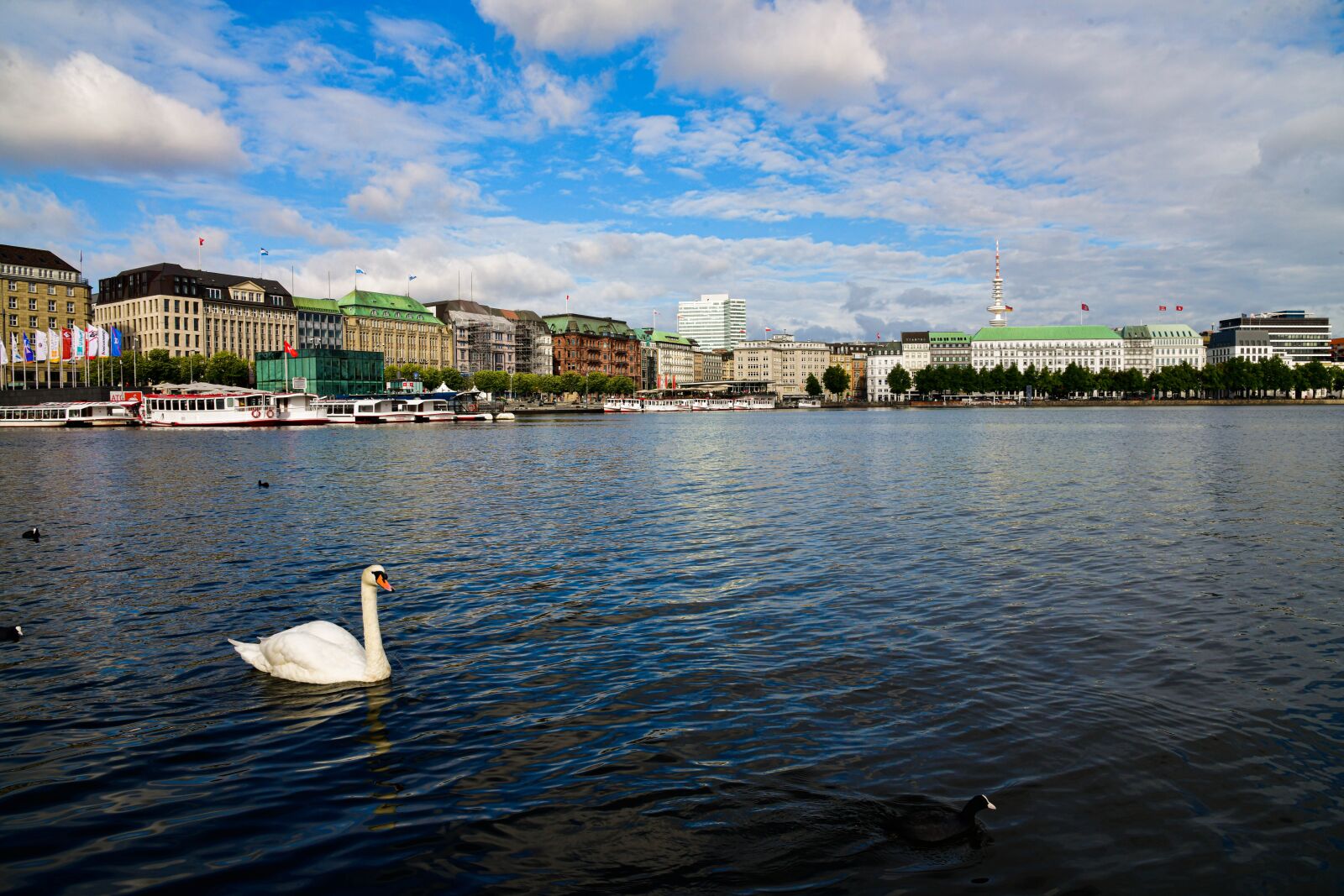 Nikon D850 sample photo. Hamburg, germany, habour photography