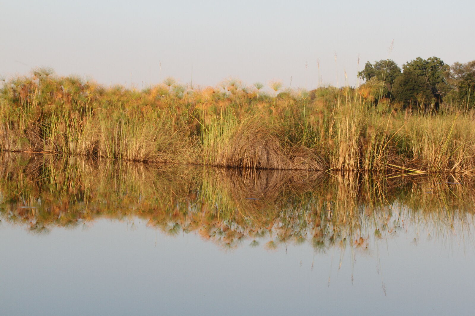 Canon EF 70-200mm F2.8L USM sample photo. Botswana, okawango, delta, sunset photography