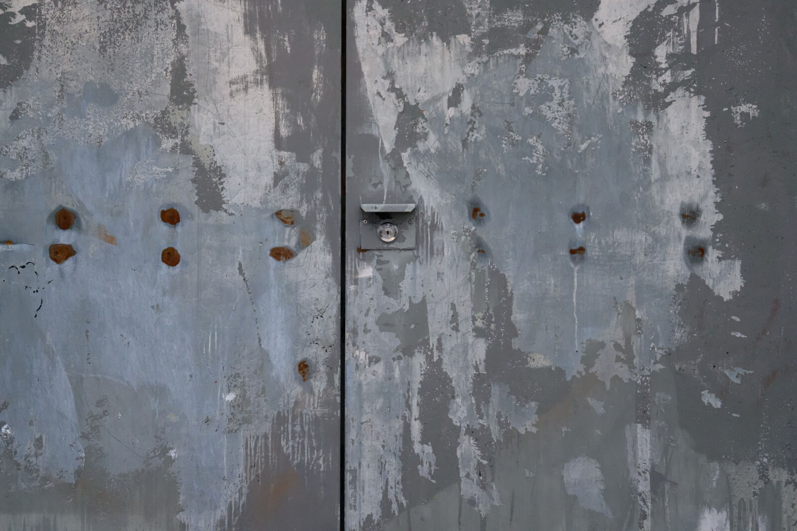 Nikon Z9 sample photo. Decay wall photography