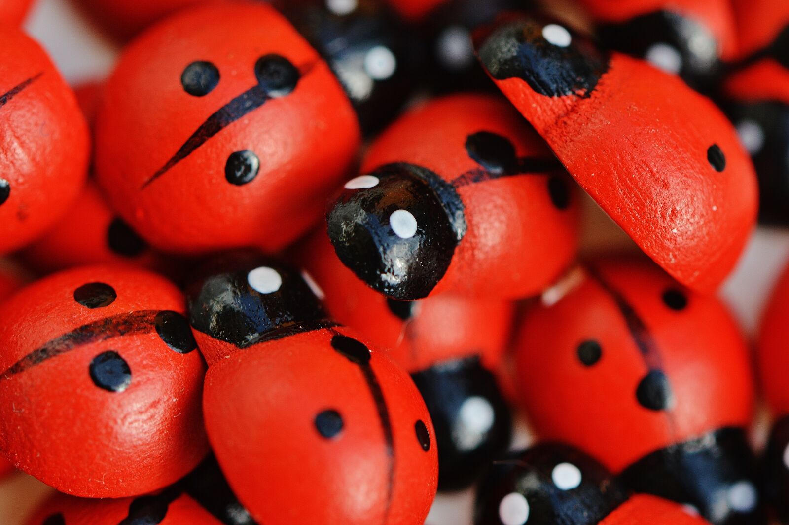 Nikon D3200 sample photo. Ladybug, wood, cute photography