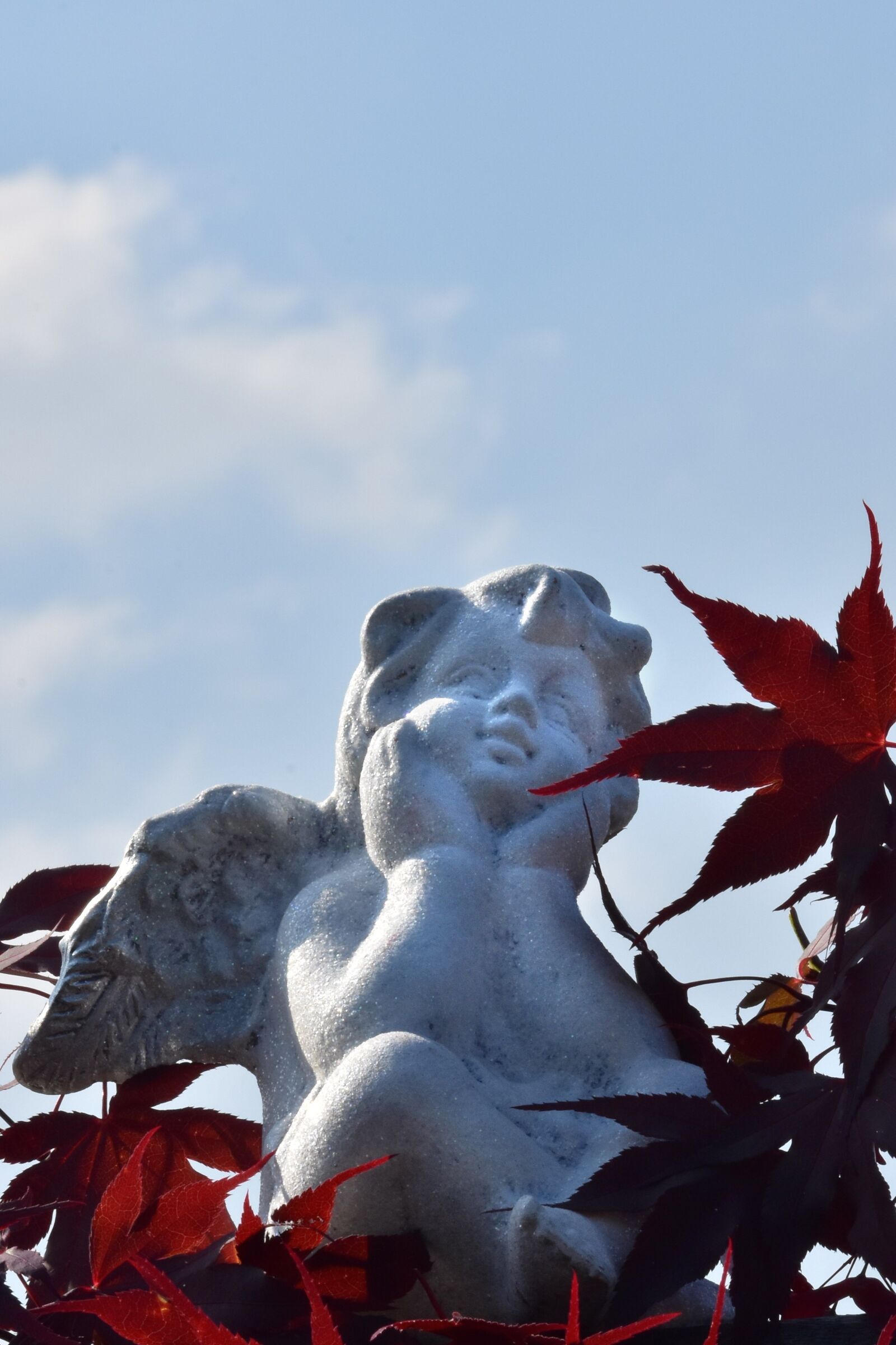 Nikon D7200 sample photo. Angel, angel image, angel photography