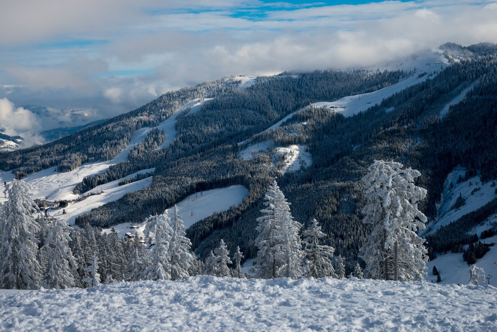 Nikon D800 sample photo. Winter, snow, nature photography