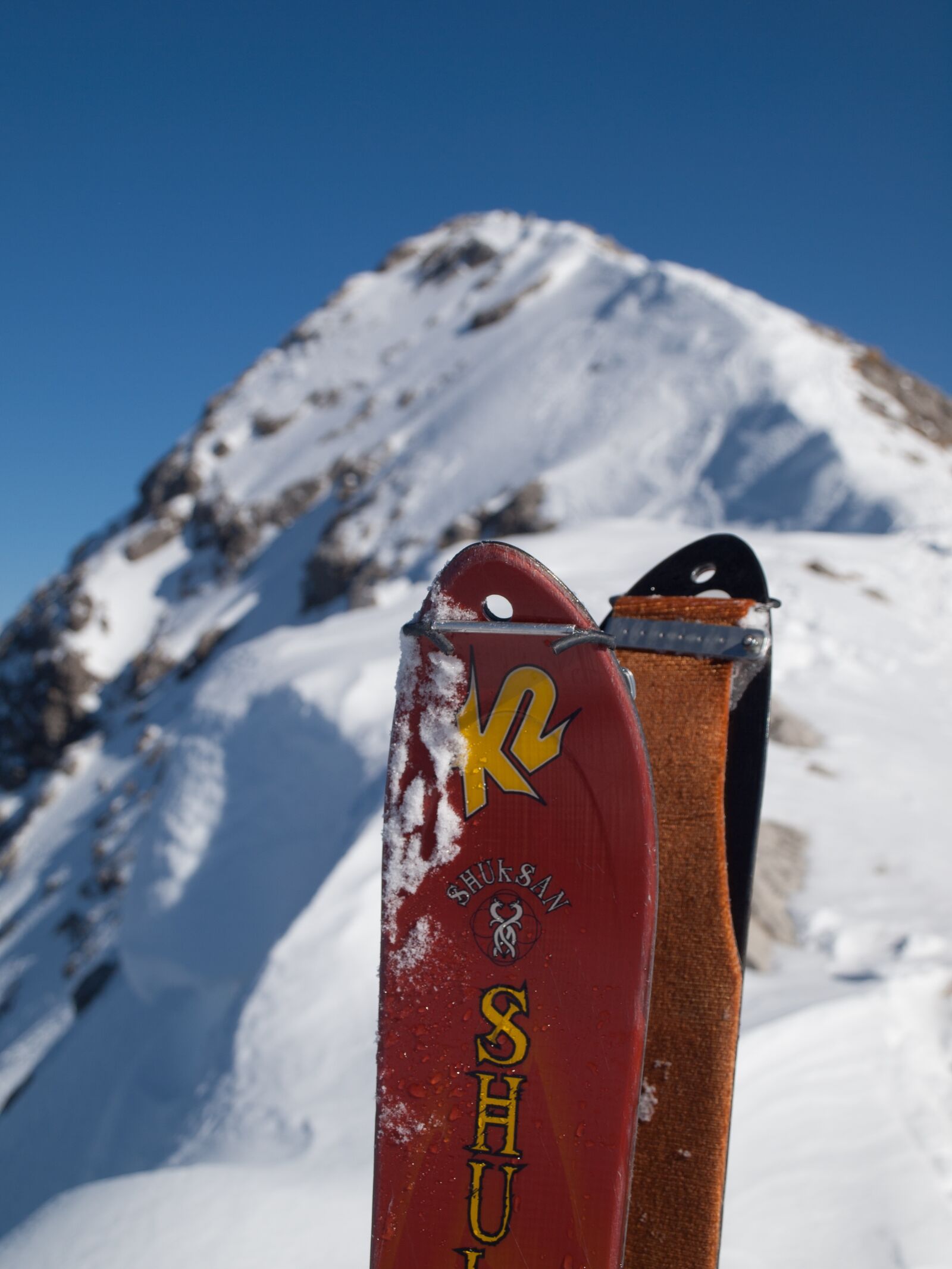 OLYMPUS 14-42mm Lens sample photo. Touring skis, climbing skins photography