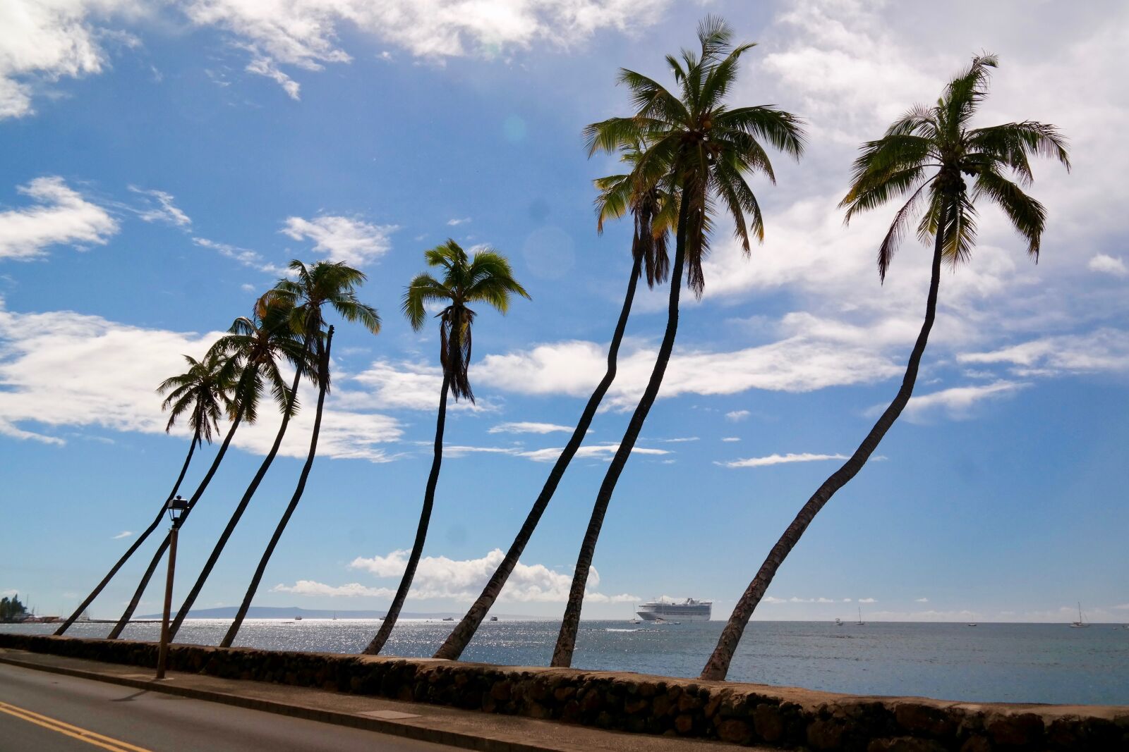 Samsung NX300 sample photo. Palm trees, sea, vacations photography