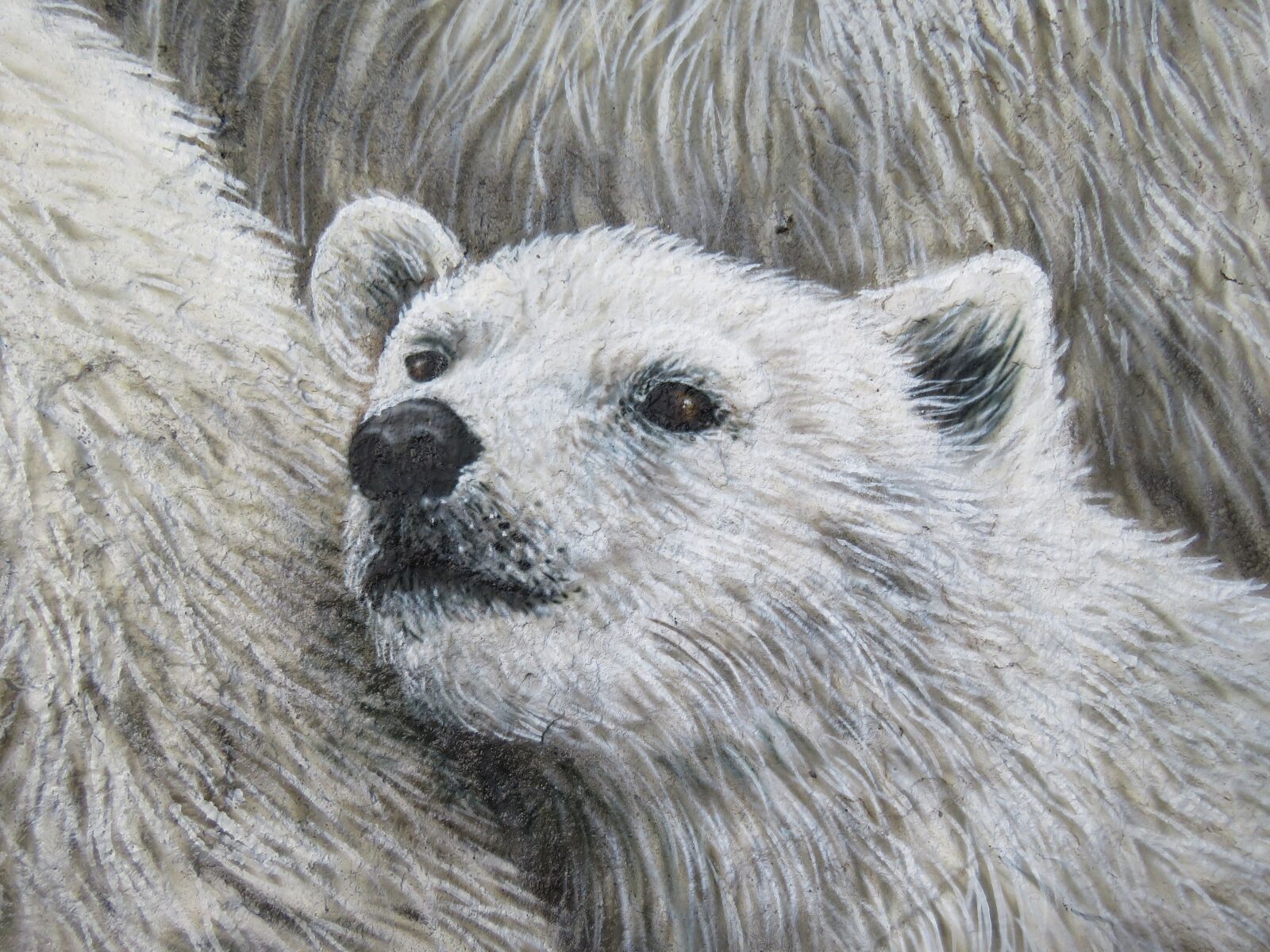 Canon PowerShot SX60 HS sample photo. Polar bear, wall art photography