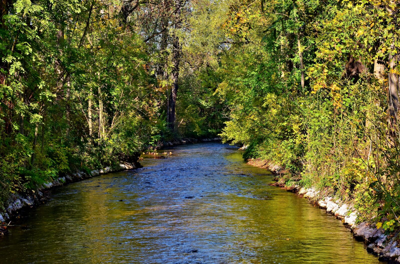 Nikon D7200 sample photo. River, bach, water photography