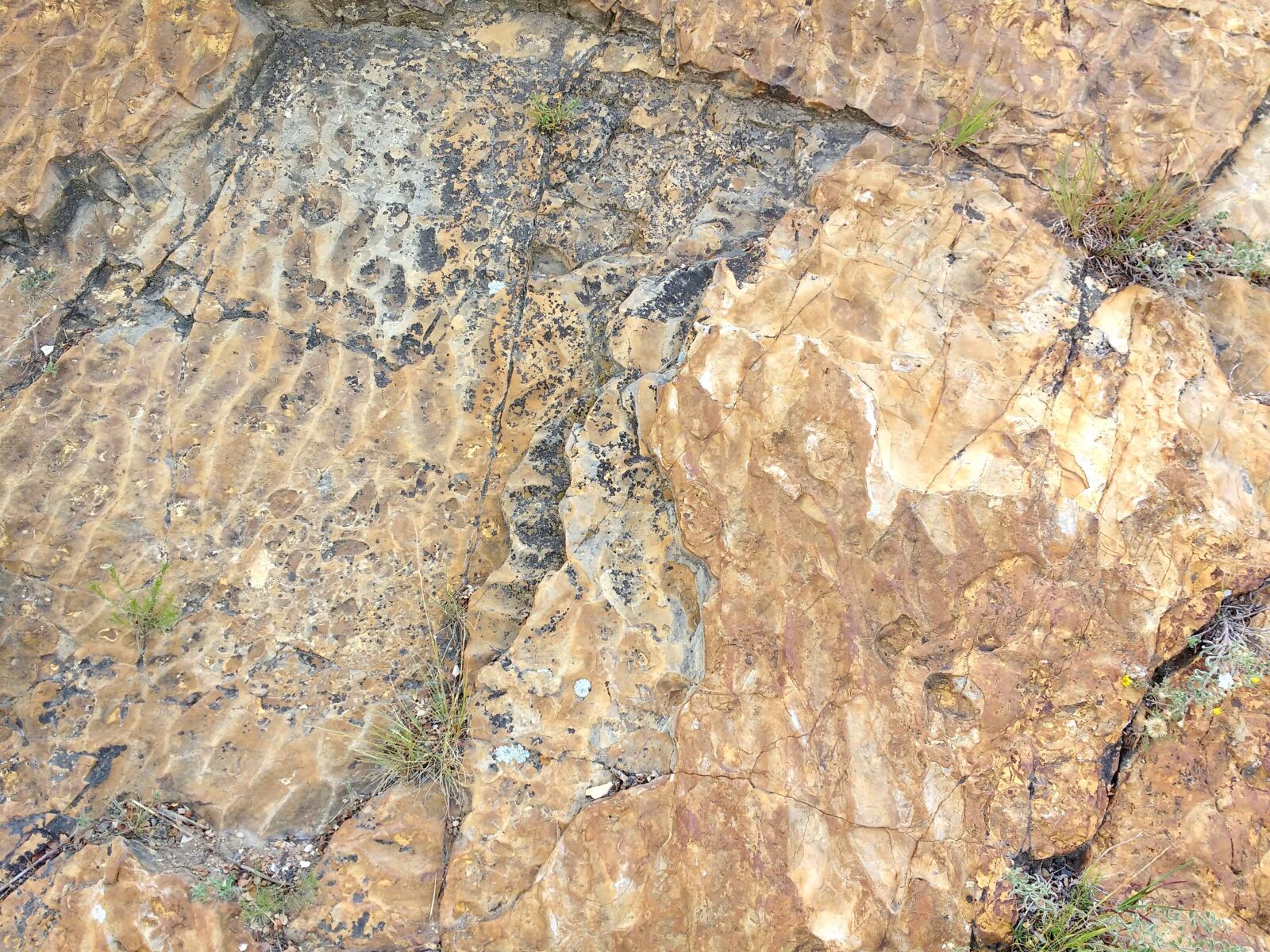 Motorola MotoG3 sample photo. Texture, wall, stone, rock photography
