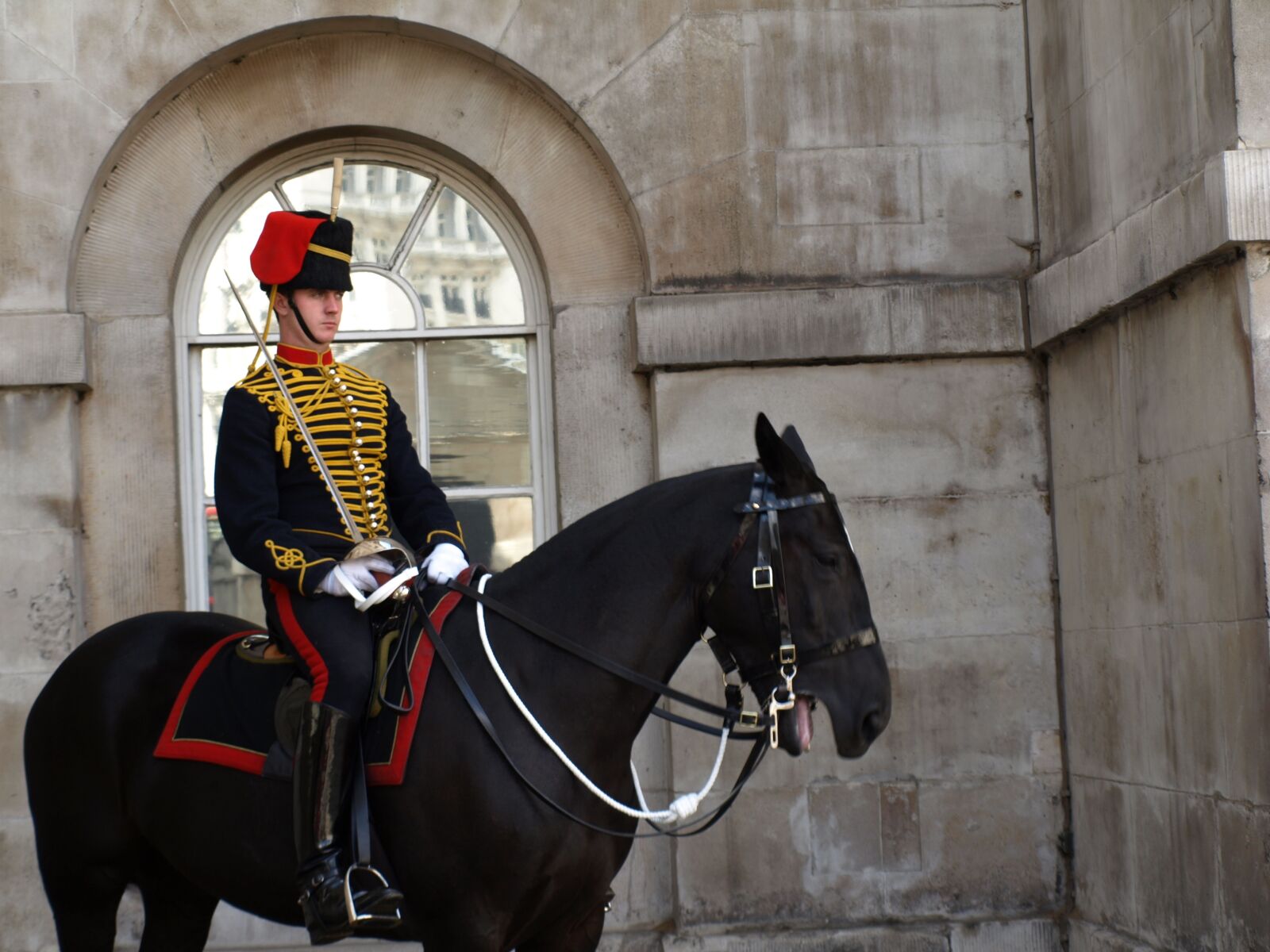 Olympus E-510 (EVOLT E-510) sample photo. London, guard, horse photography