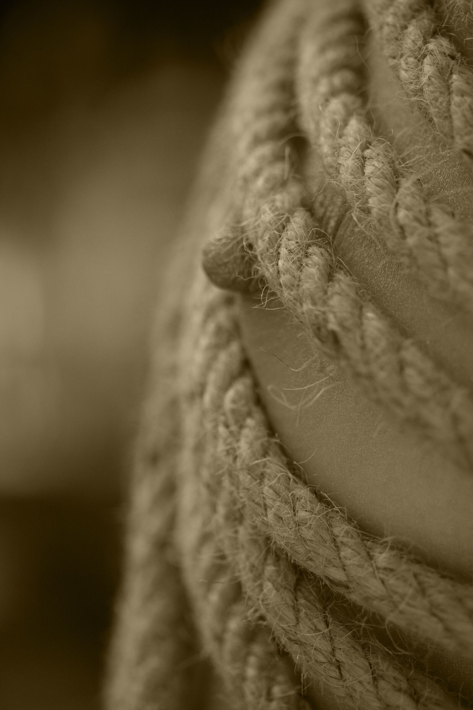 Canon EOS 40D sample photo. Nude, naked, breast photography
