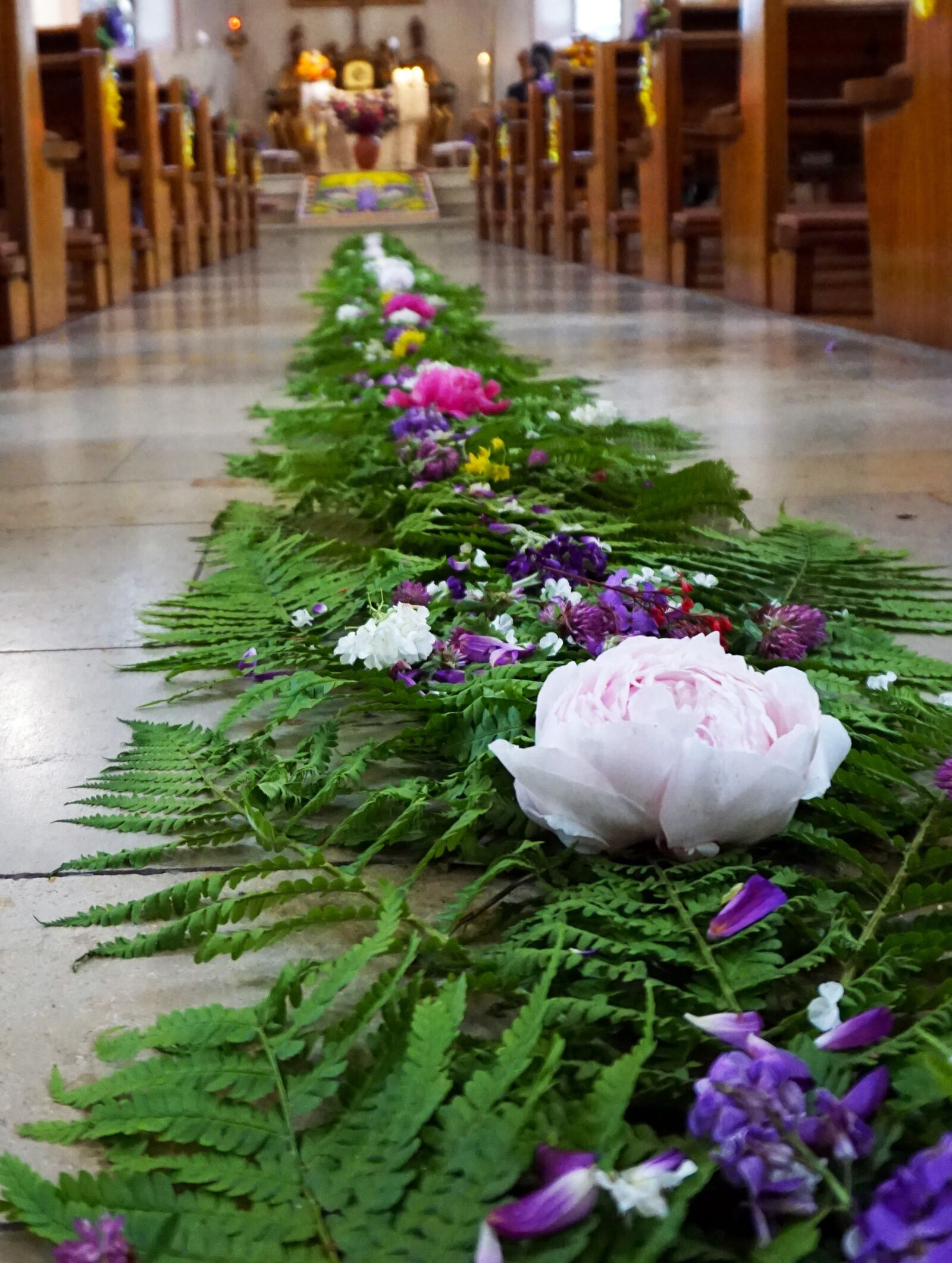 Sony a6000 sample photo. Corpus christi, flower carpet photography