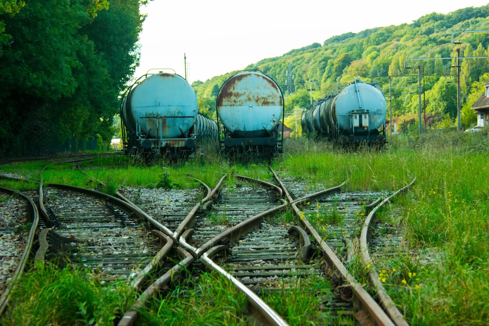 Nikon D5300 sample photo. Train, train station, lines photography