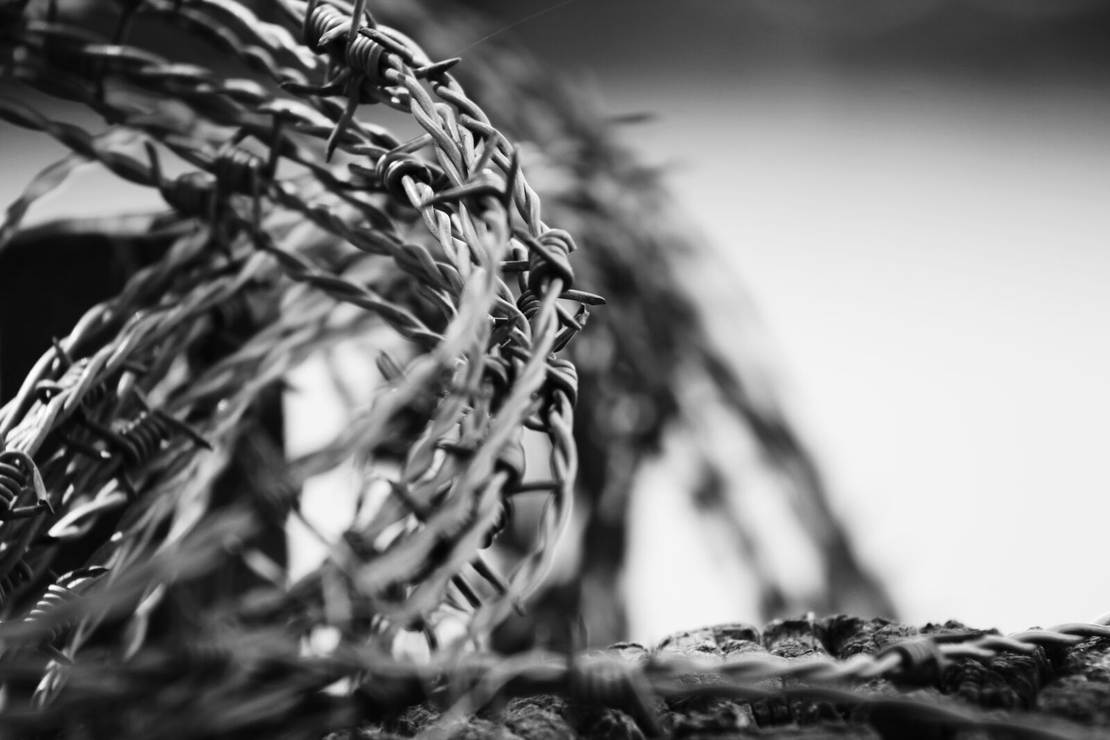 EF75-300mm f/4-5.6 sample photo. Barbed wire, border, freedom photography