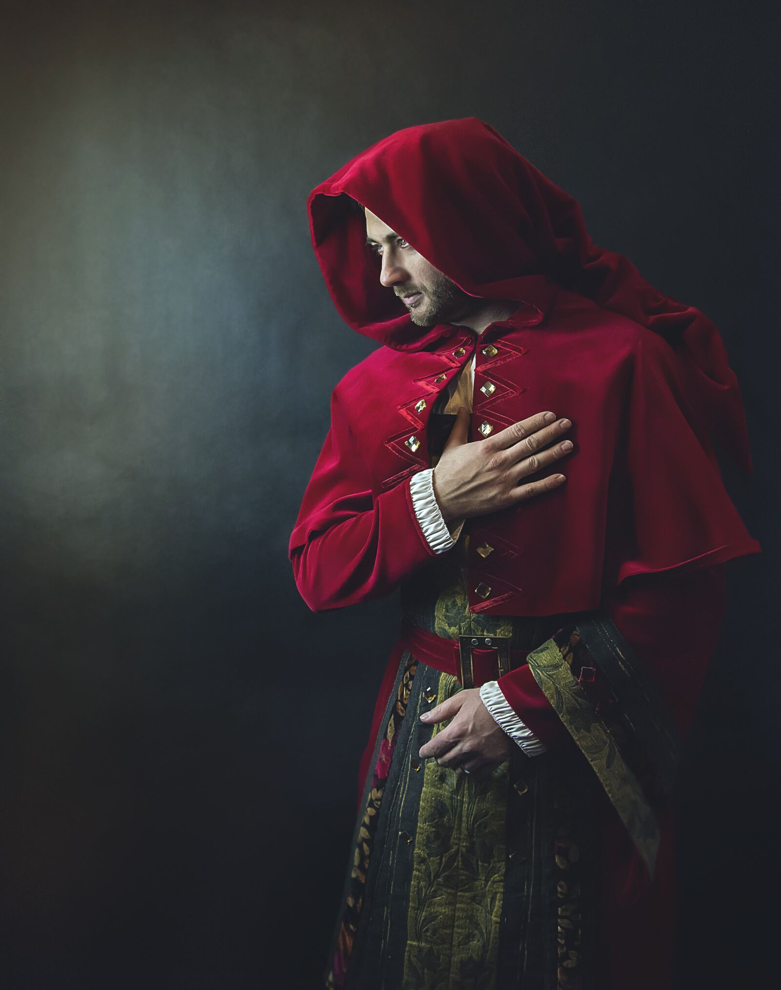 Nikon D800E sample photo. Middle ages, knight, monarch photography