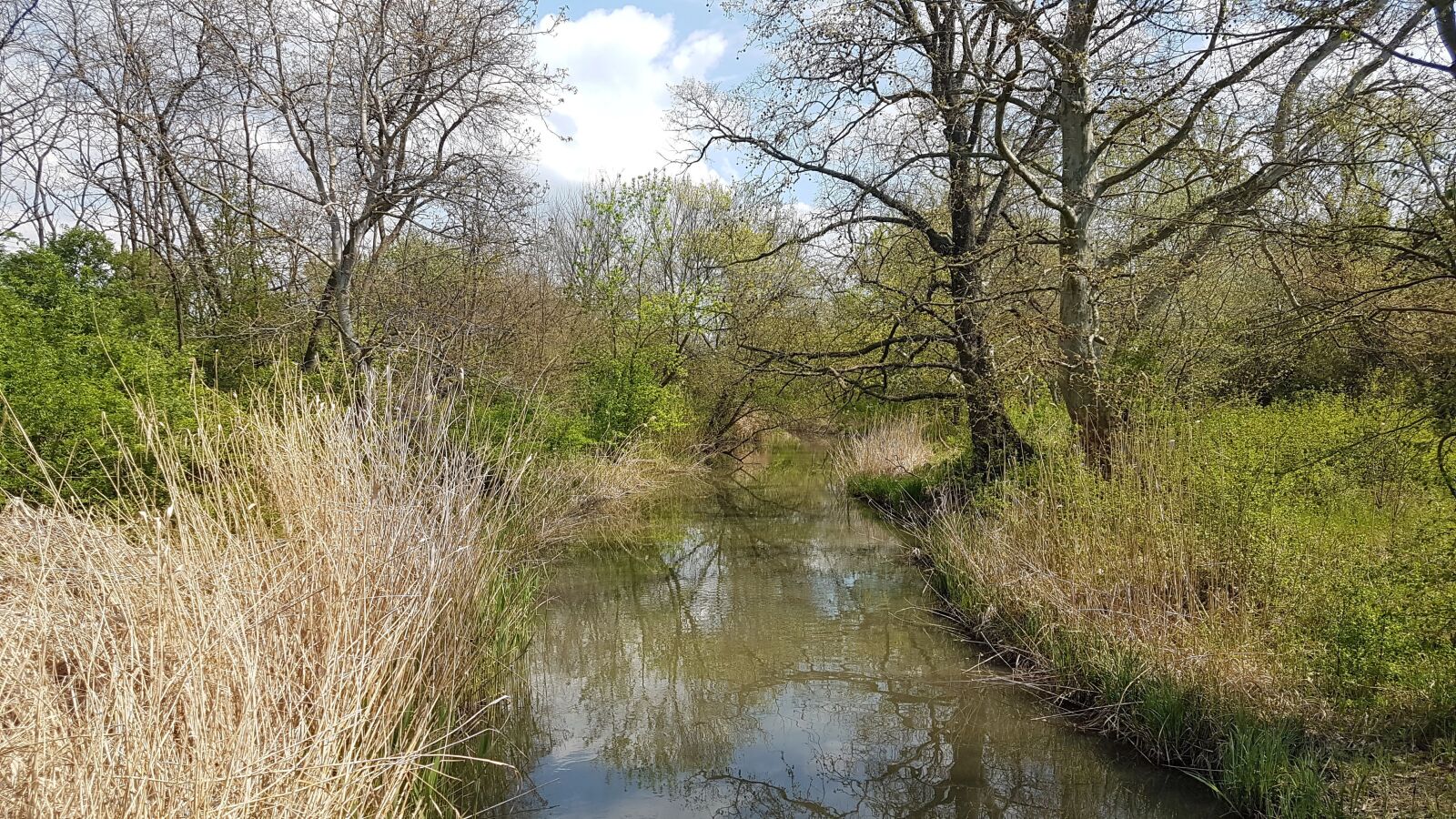 Samsung Galaxy S7 sample photo. Nature, water, channel photography