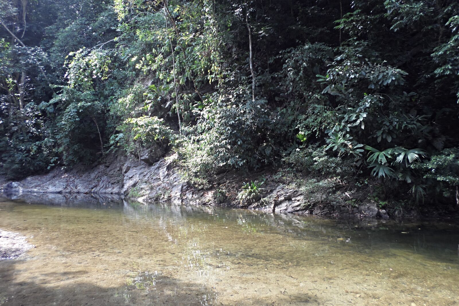 Samsung MV900F sample photo. River, water, nature photography