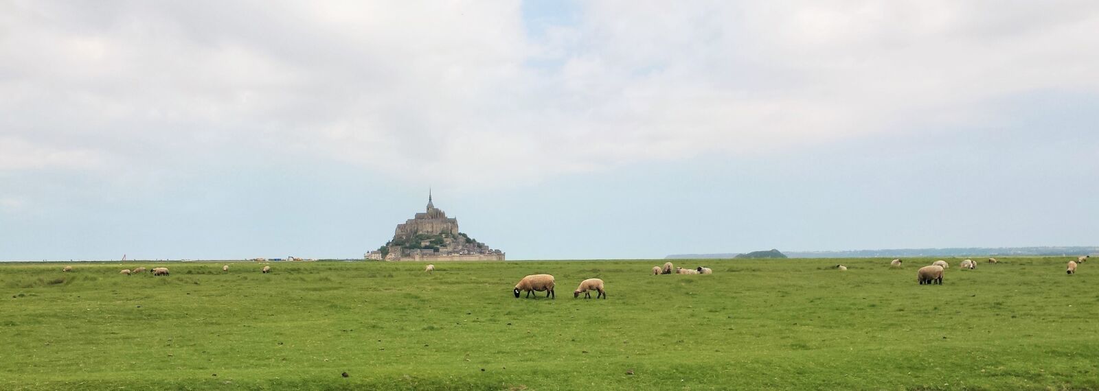 Samsung Galaxy S4 sample photo. Meadows, sheep, normandy photography