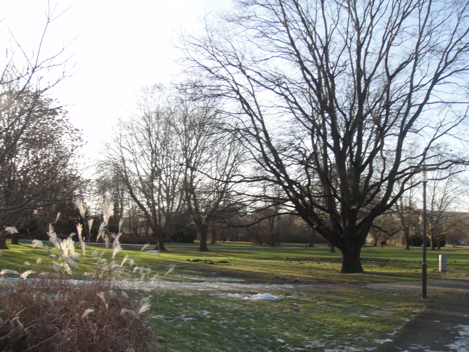 Sony DSC-TX1 sample photo