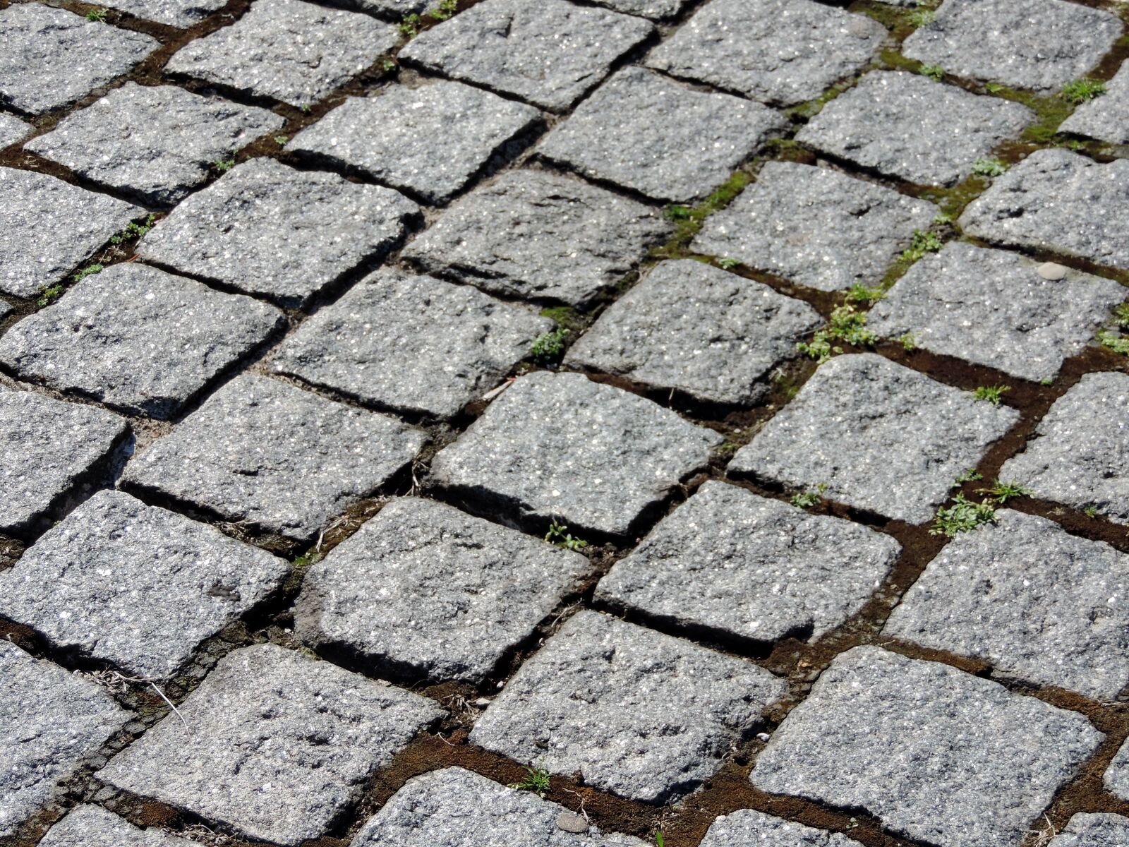 Nikon Coolpix P520 sample photo. Granite, paving stone, pavement photography