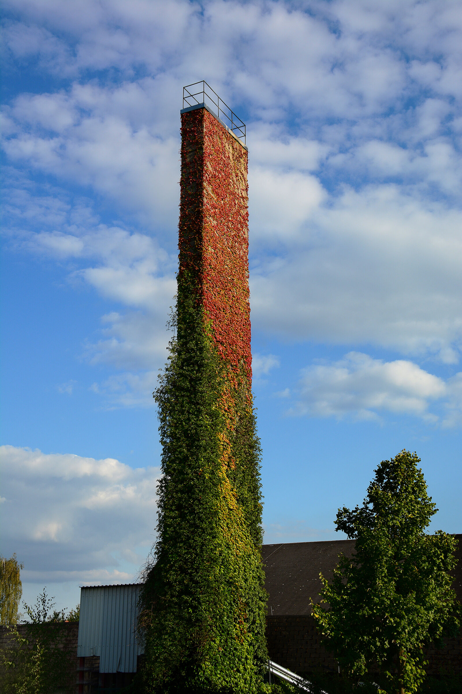 Nikon D7100 sample photo. Overgrown, tower photography
